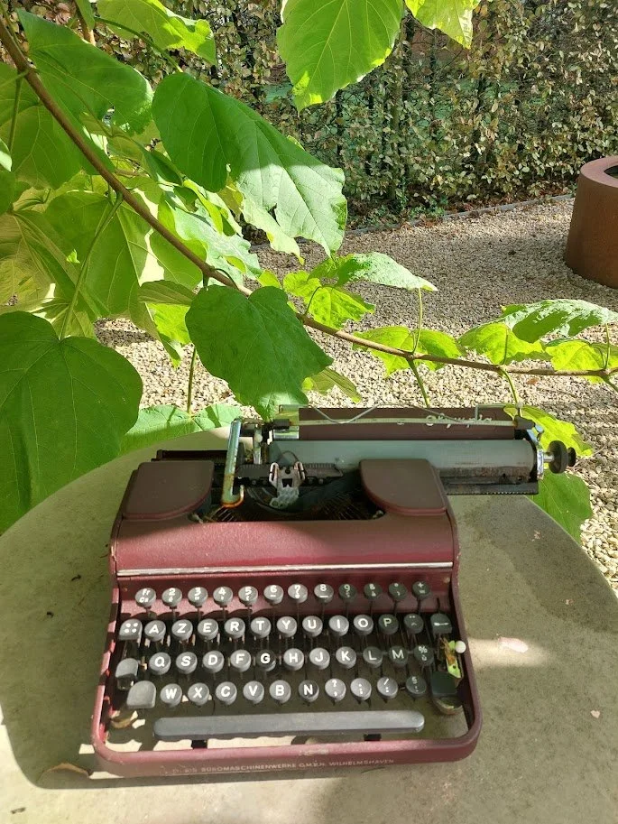 20241022_124501.jpg