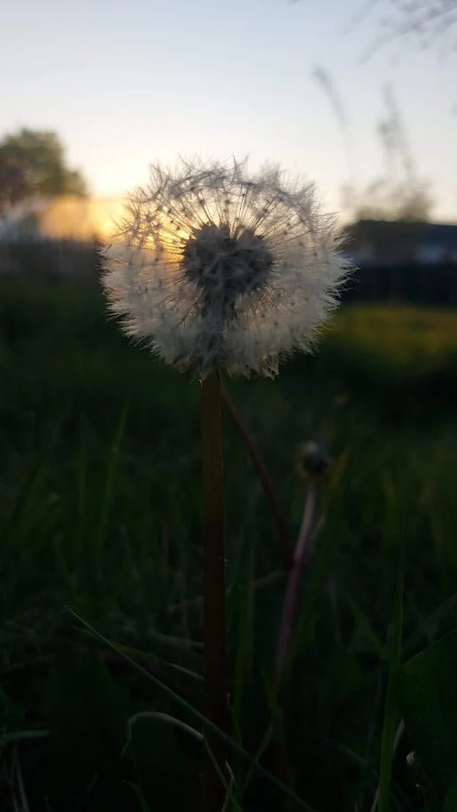 20250427_202445.jpg