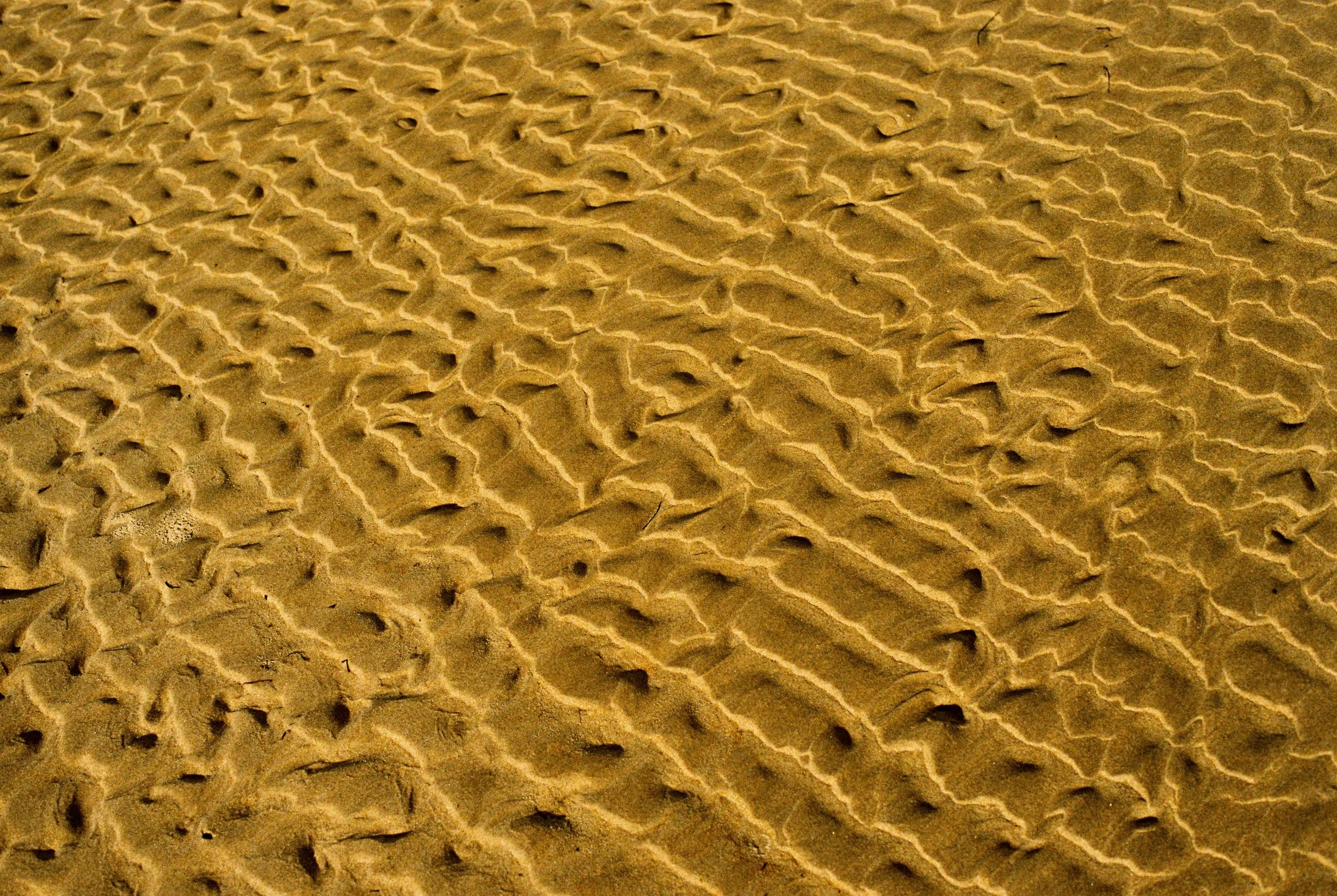 golden sand, portra400