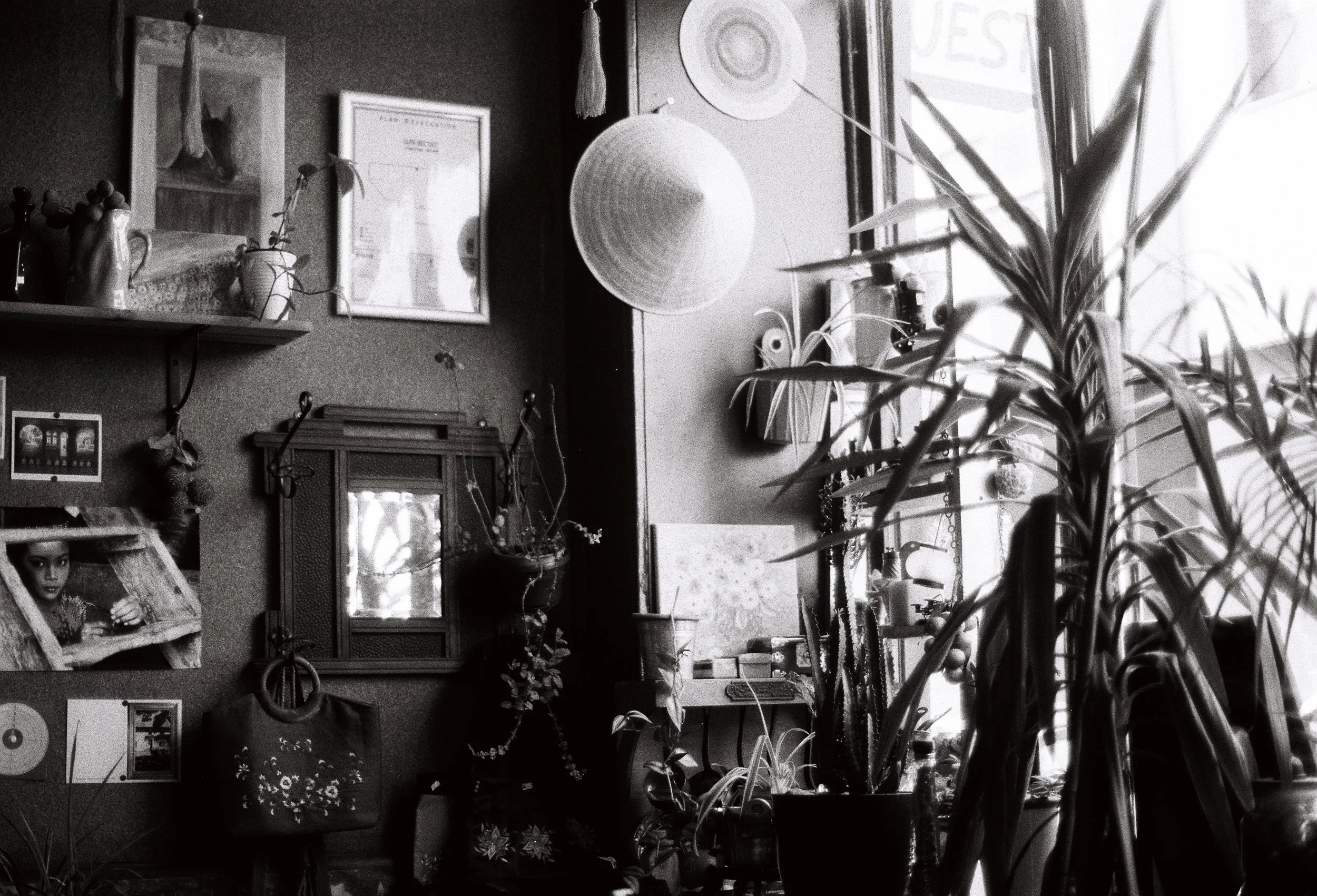 vietnamese restaurant, 35mm