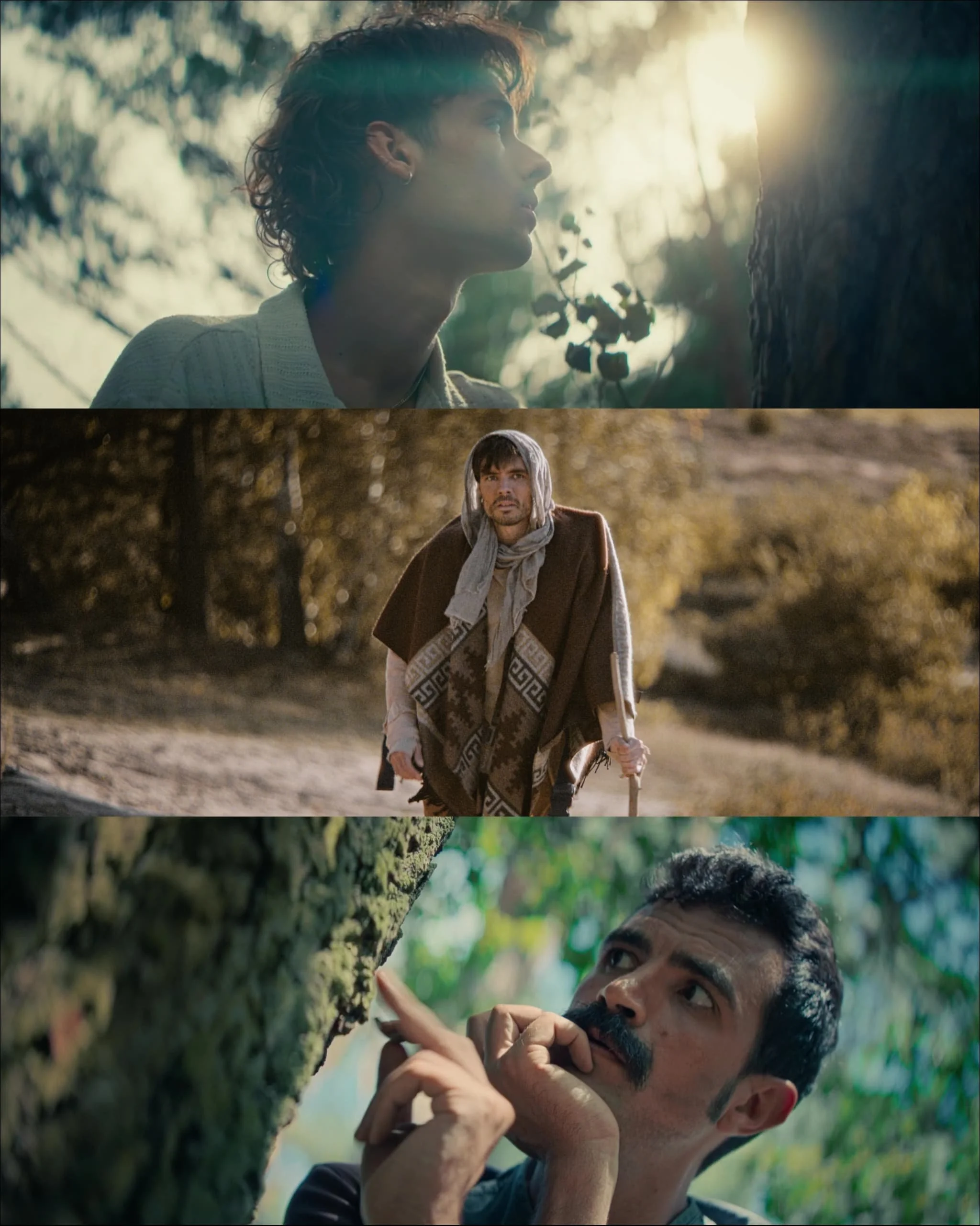 WhatsApp Image 2024-11-28 at 12.17.27.jpeg