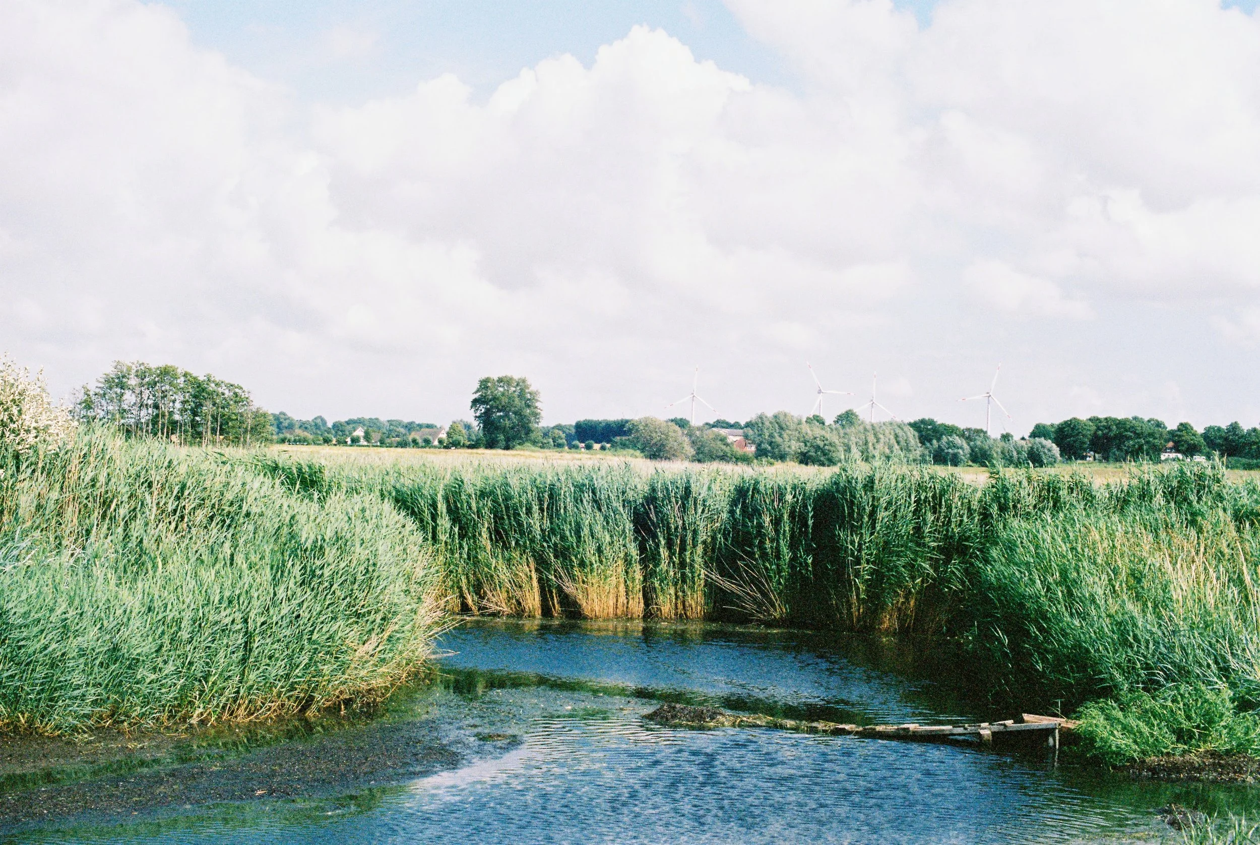 baltic sea, portra400