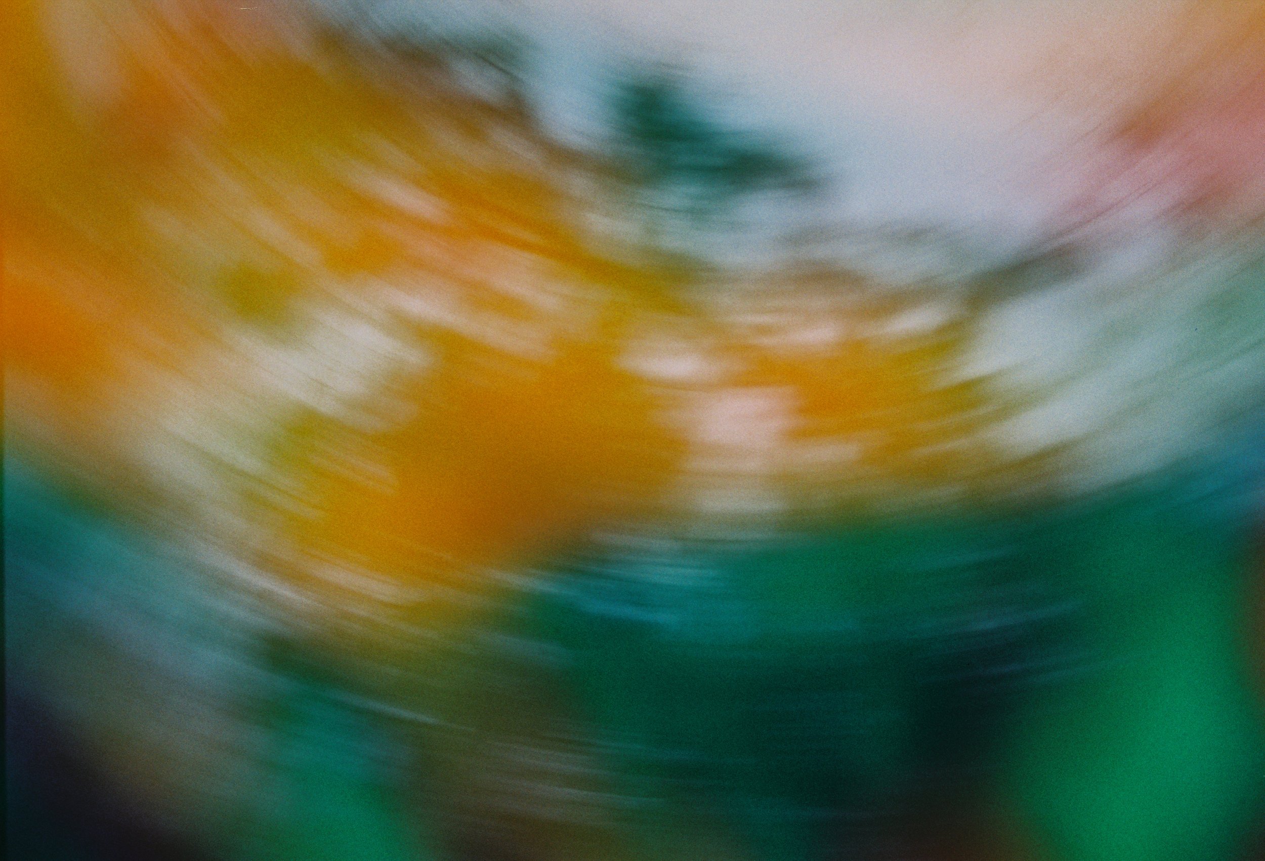 forest, experimental film