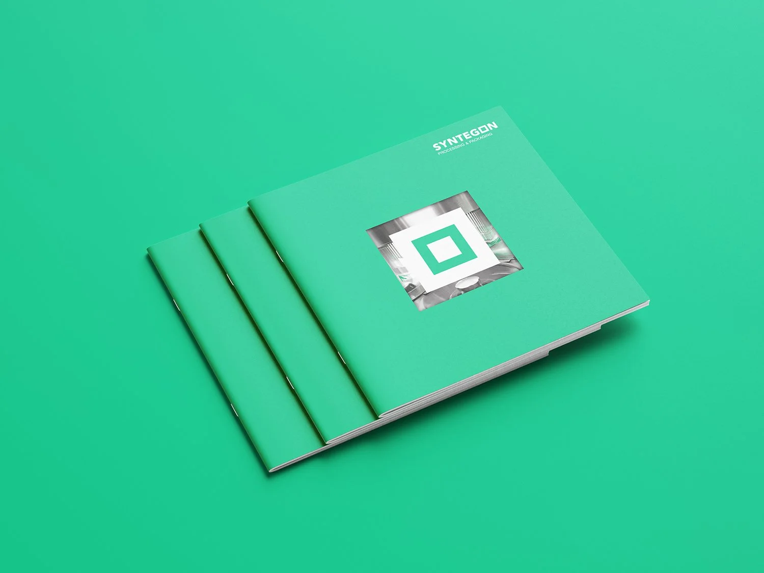 tim_kaun_syntegon_branding_05.jpg