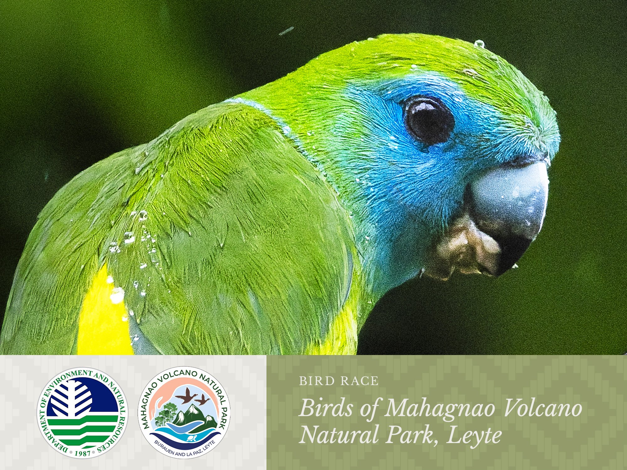 Birds of Mahagnao Volcano Natural Park