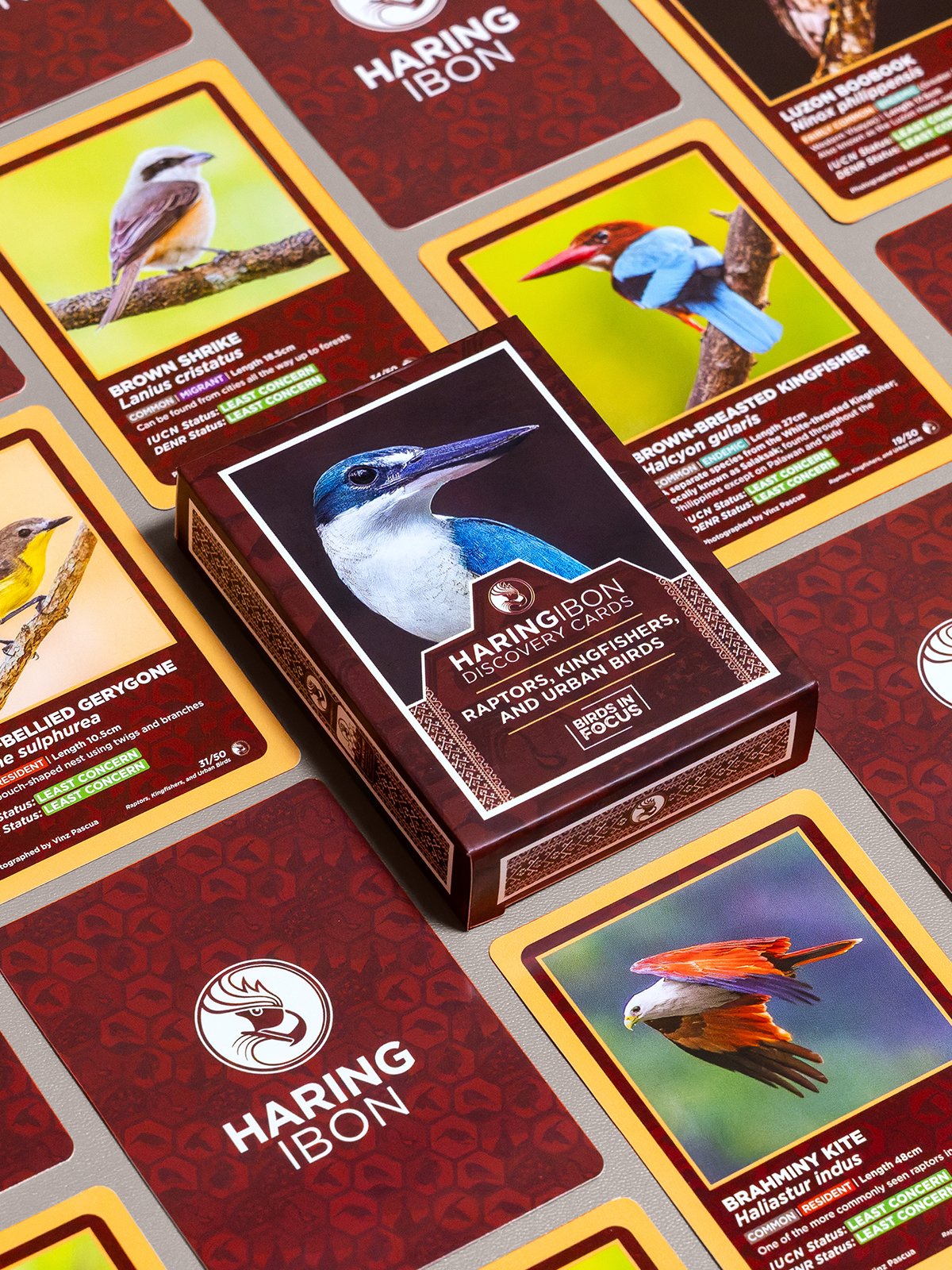 Discovery Cards 4.jpg