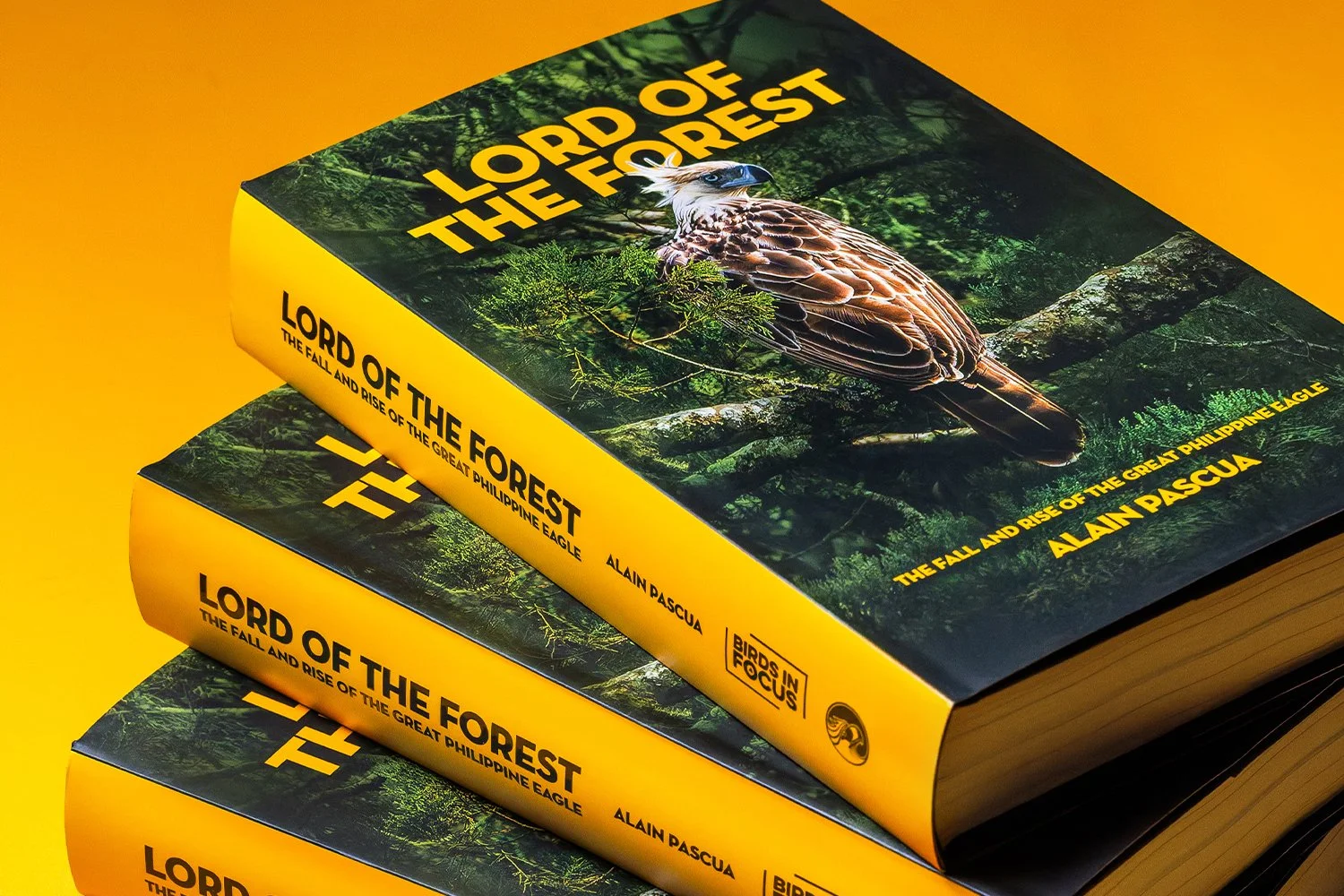 Lord of the Forest: The Fall and Rise of the Great Philippine Eagle Book Design