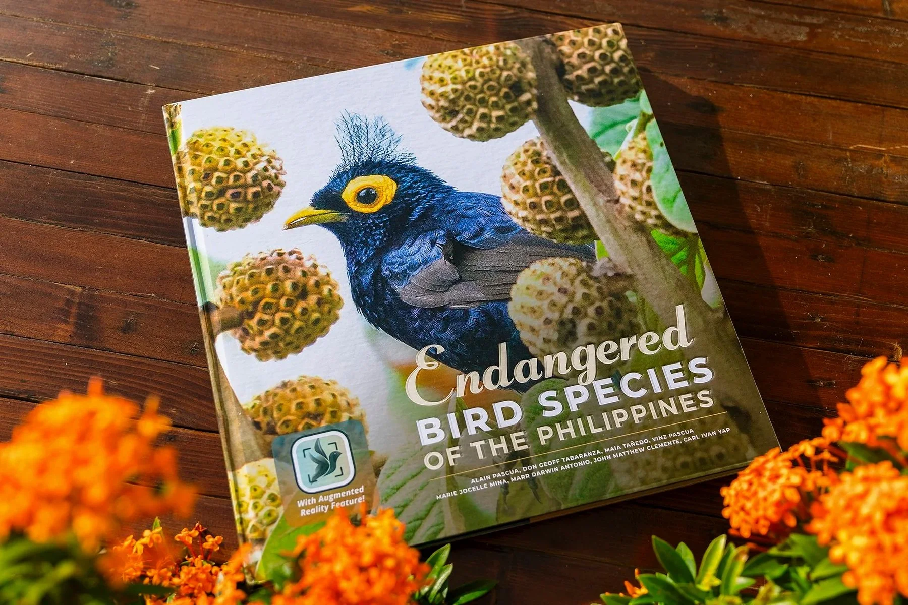 Endangered Bird Species of the Philippines