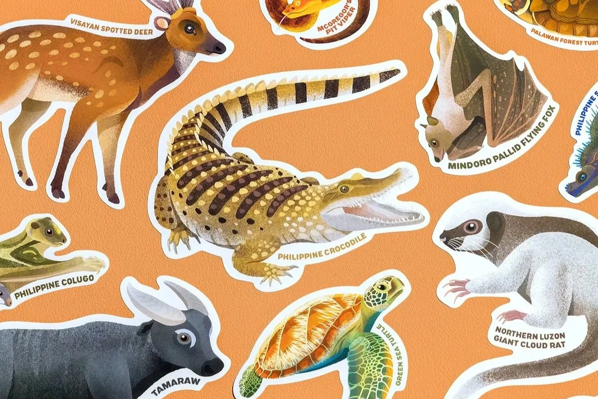 Vinz+Pascua+Mammals+and+Reptiles+of+the+Philippines.jpg