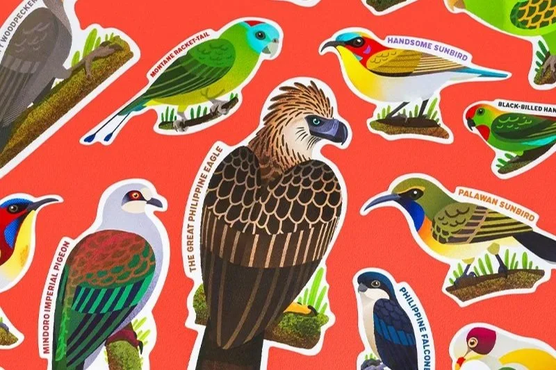 Vinz+Pascua+Birds+of+the+Philippines.jpg