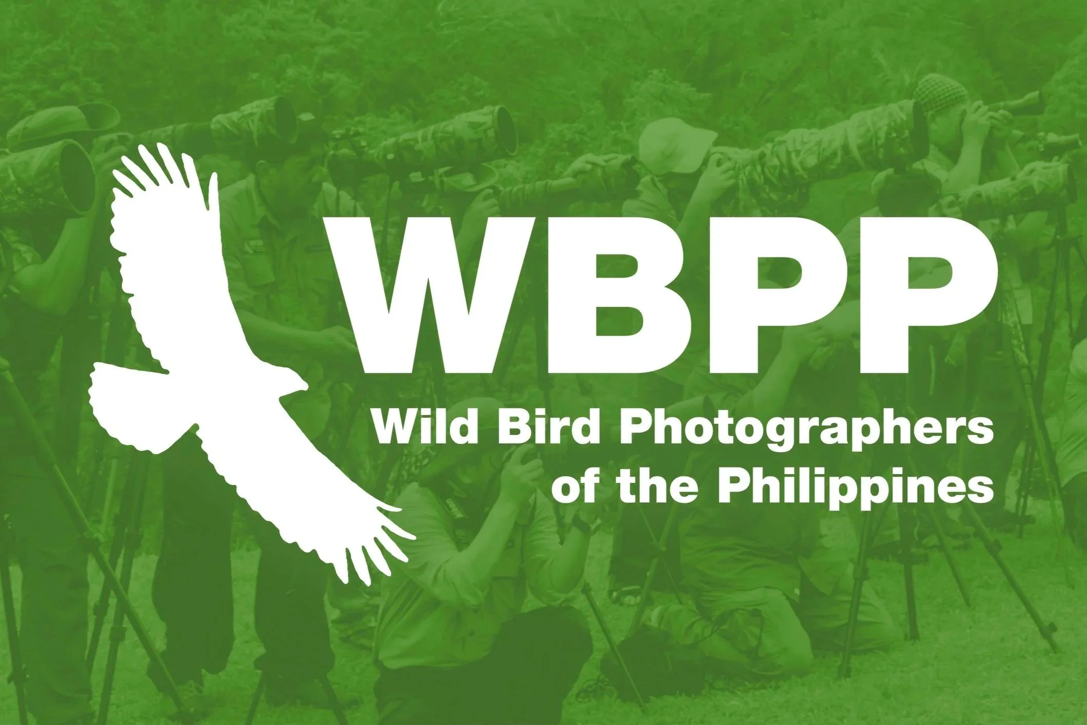 Vinz+Pascua+Website+%28Branding%29+-+Wild+Bird+Photographers+of+the+Philippines.jpg