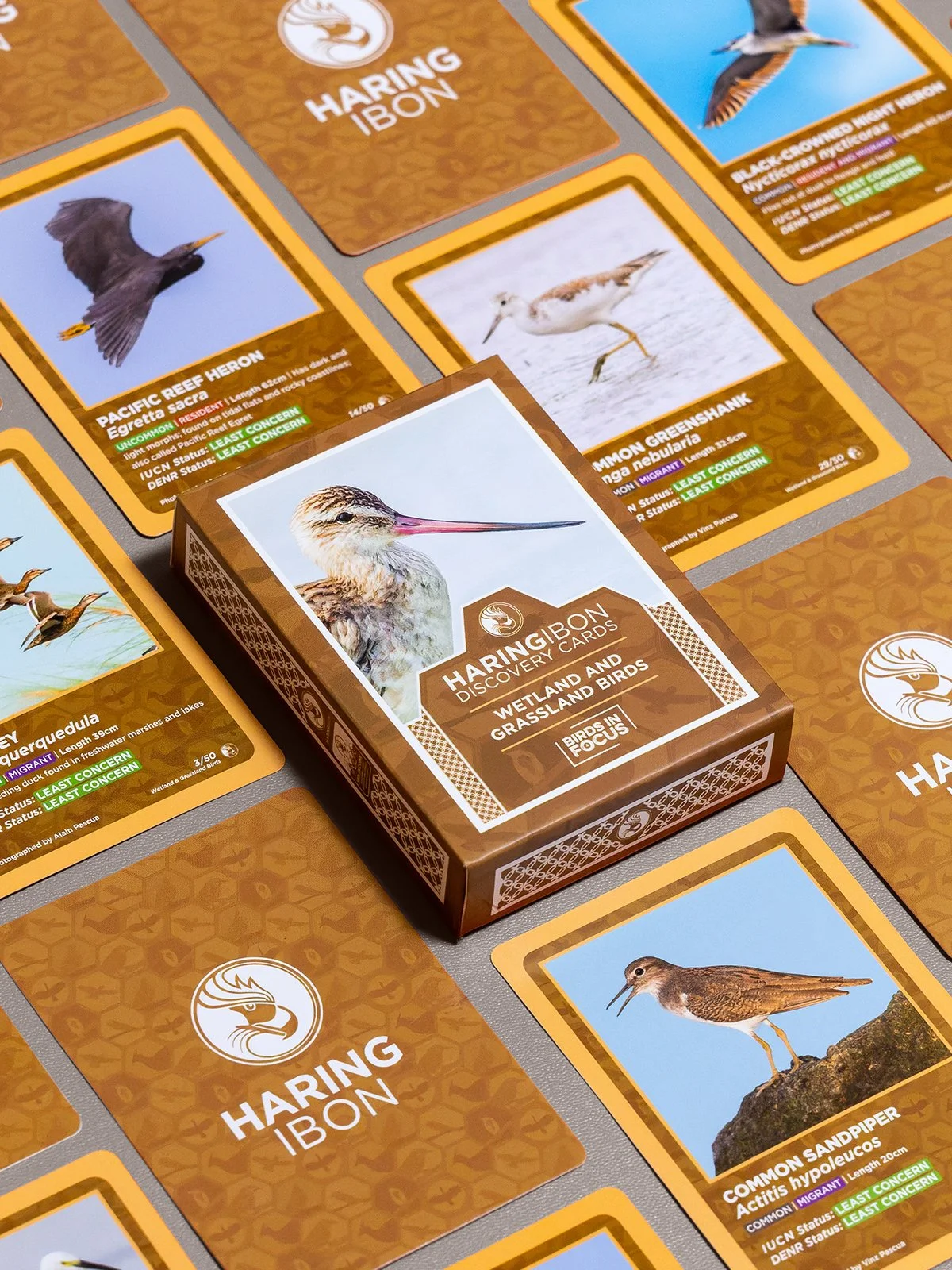 Discovery Cards 3.jpg