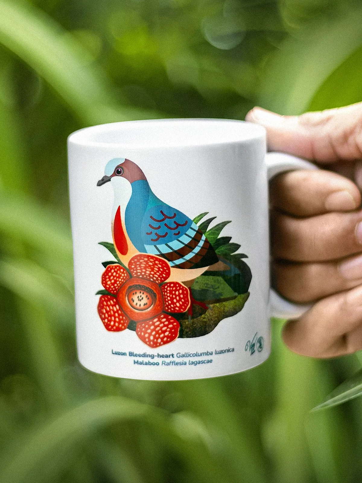 WBCP Mug Luzon Bleeding-heart 1200px.jpg