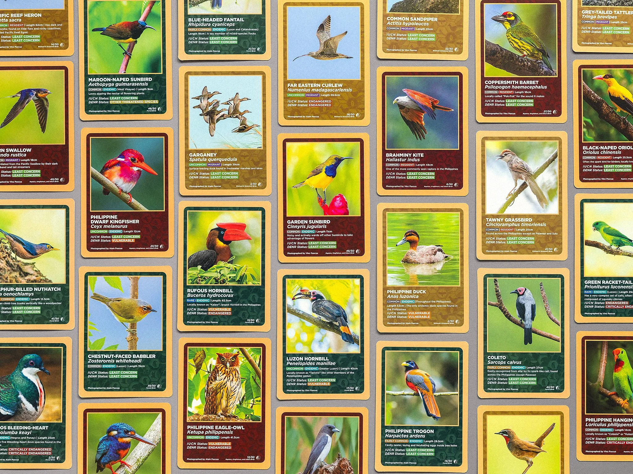 HaringIbonDiscoveryCards_7_CollectionShot.jpg