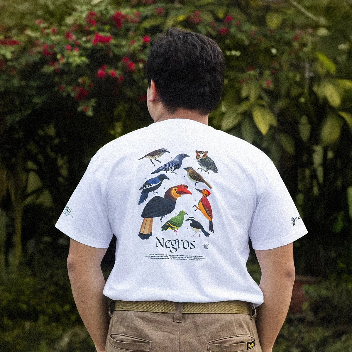 Birds of negros BACK 1x1 800px.jpg