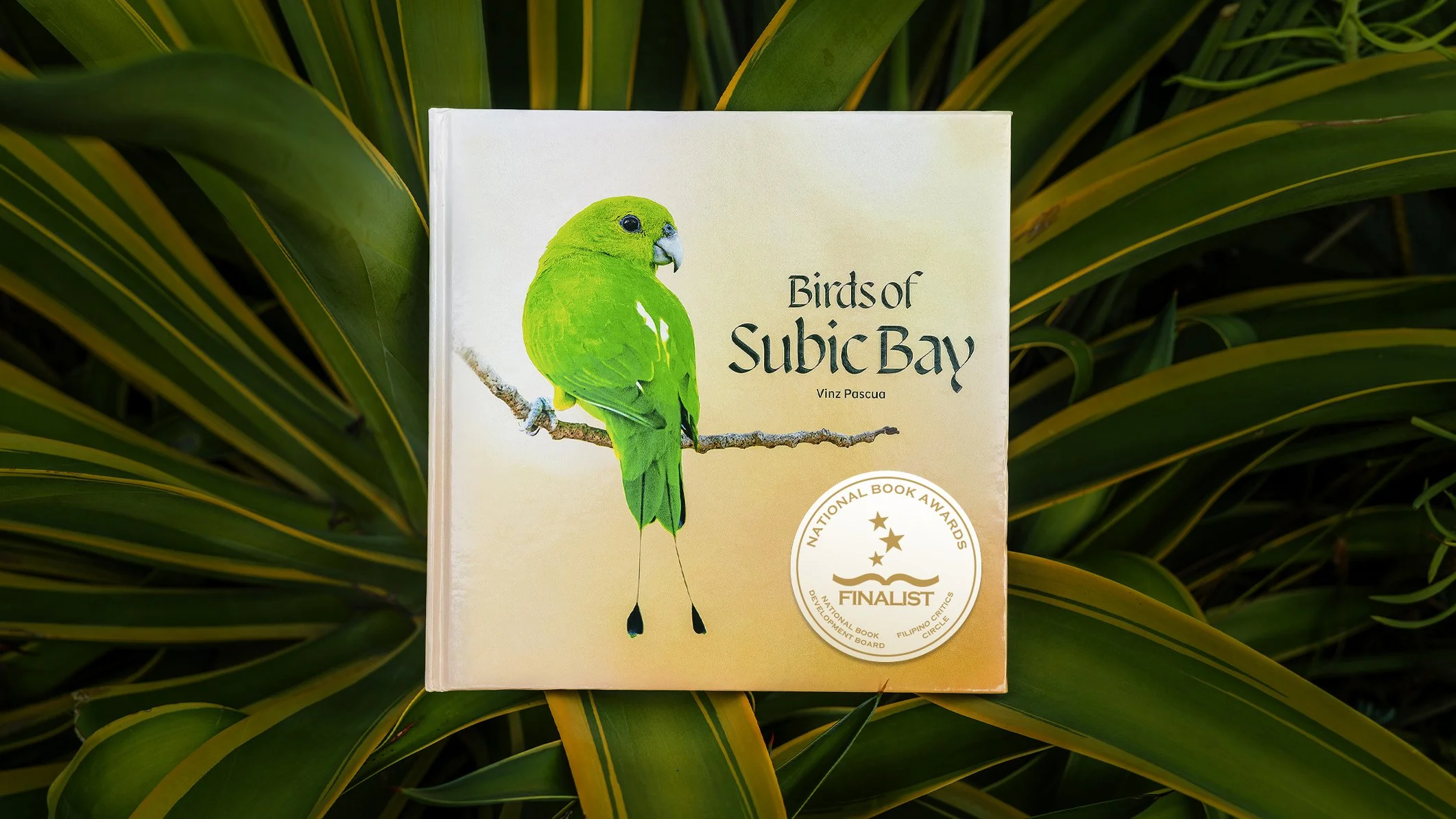 Birds of Subic bay FINALIST.jpg