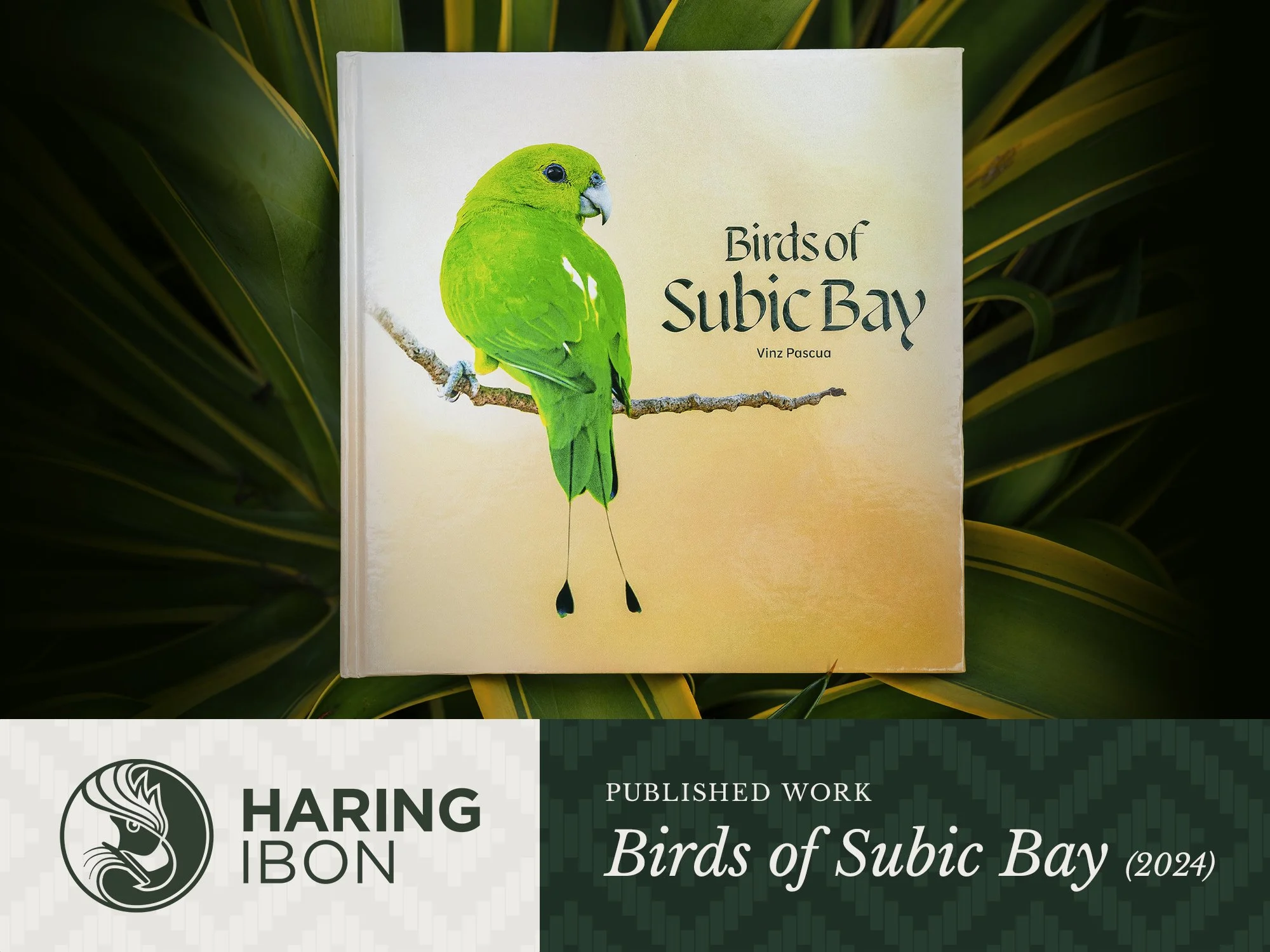 Birds of Subic Bay Book