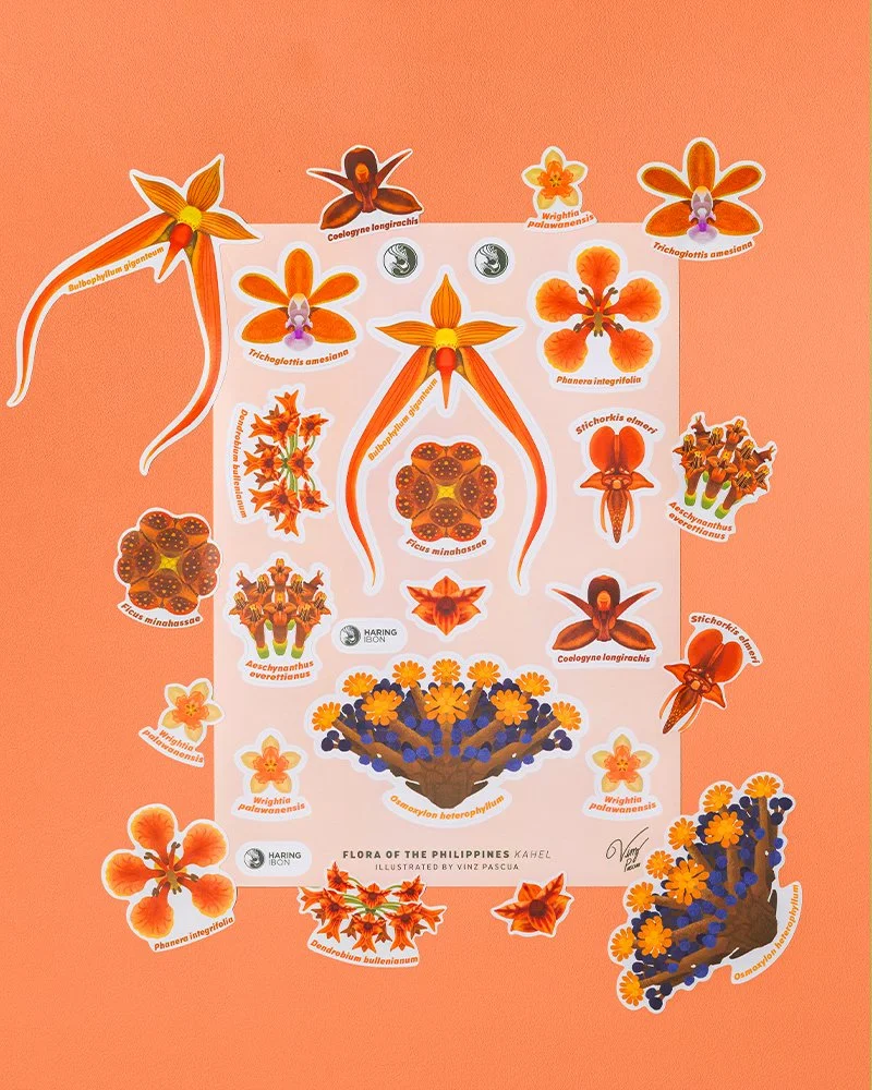 Vinz Pascua Flora of the Philippines Sticker Sheets - Kahel.jpg