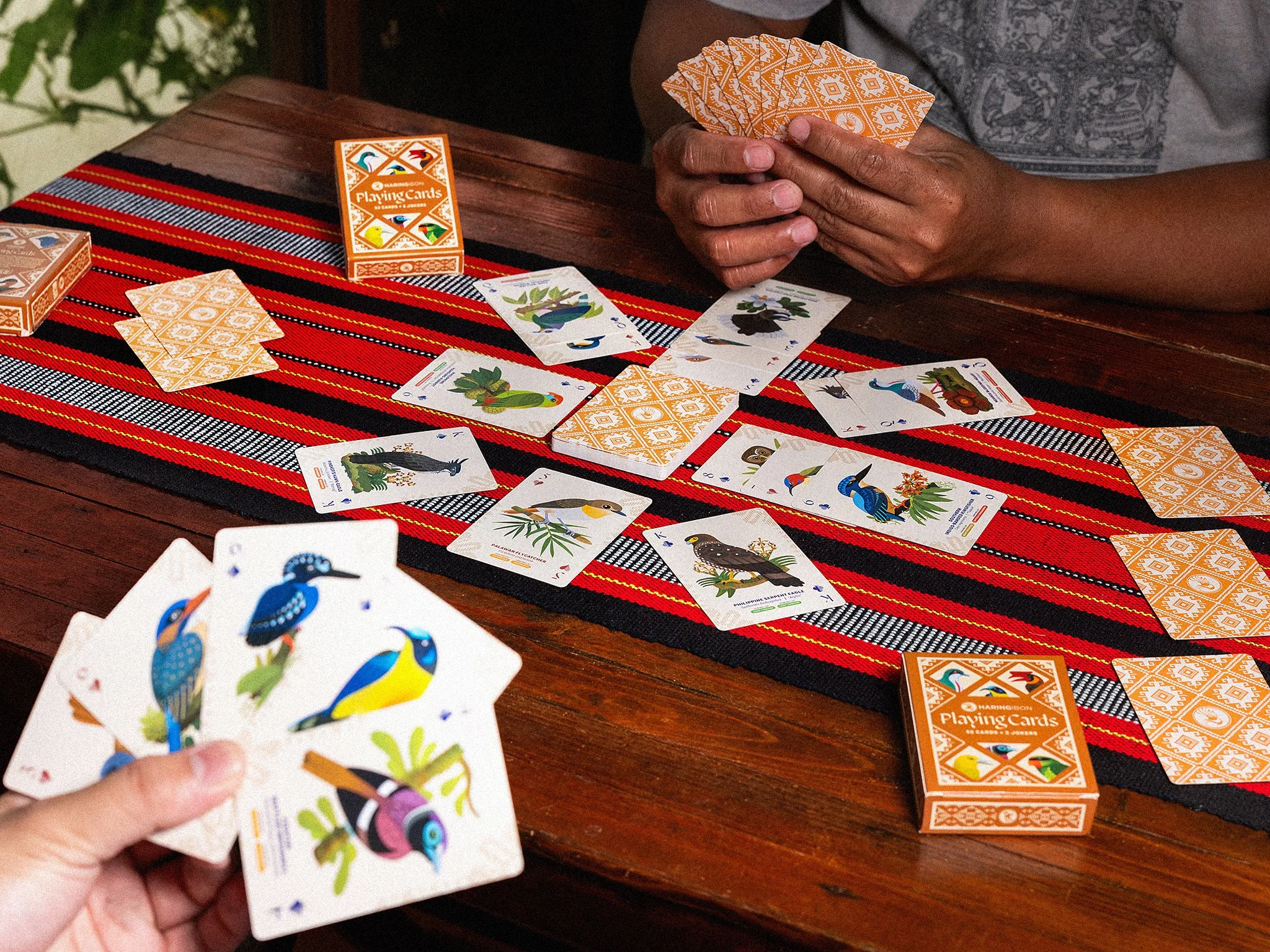HaringIbonPlayingCards_7_InUse1.jpg