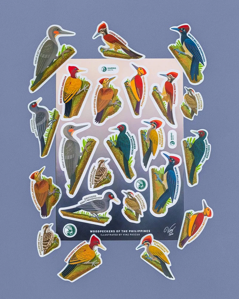 Vinz Pascua Birds of the Philippines Sticker Sheets - Woodpeckers.jpg
