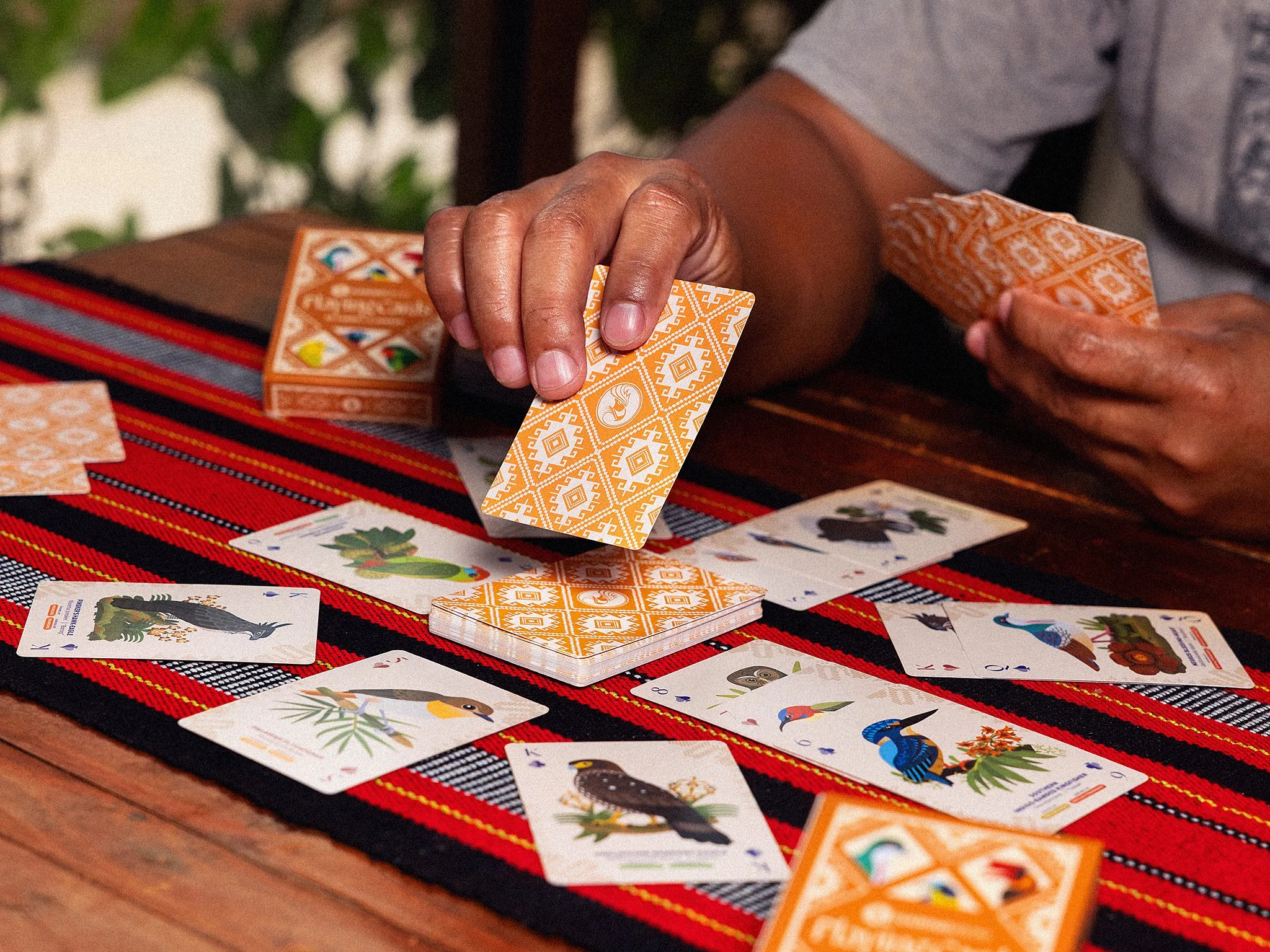 HaringIbonPlayingCards_8_InUse2.jpg