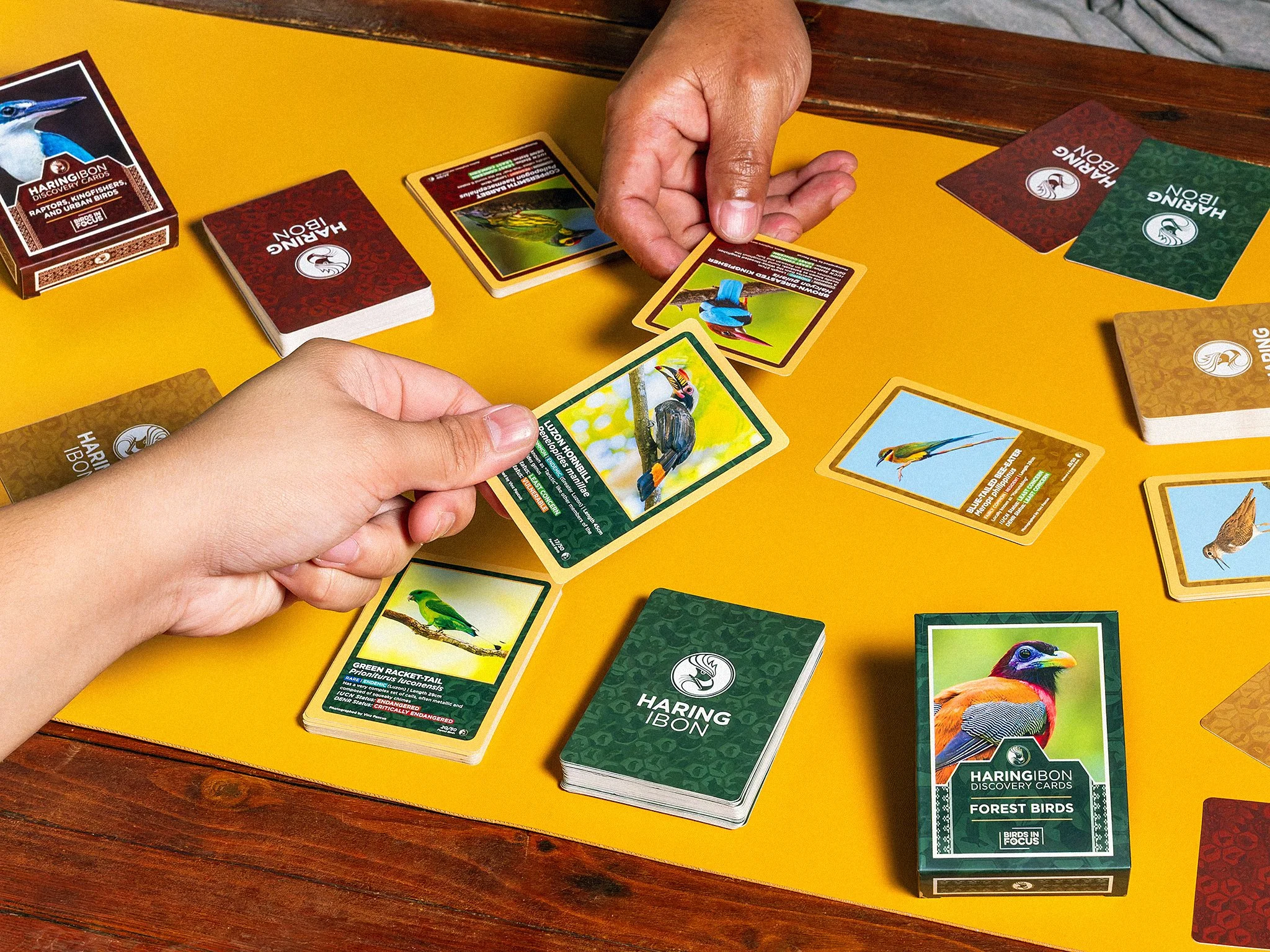 HaringIbonDiscoveryCards_8_InUse1.jpg