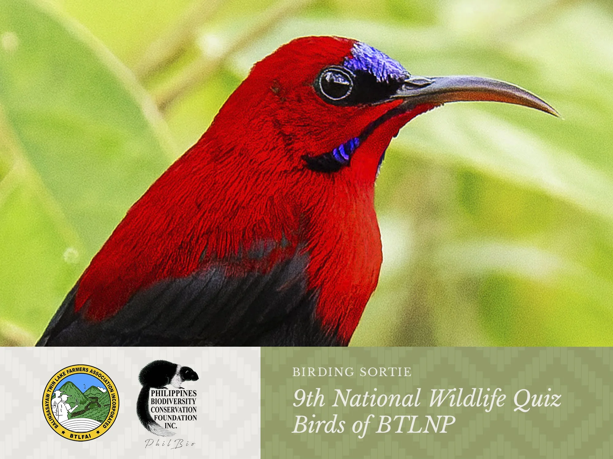 9th National Wildlife Quiz: Birds of Balinsasayao Twin Lakes