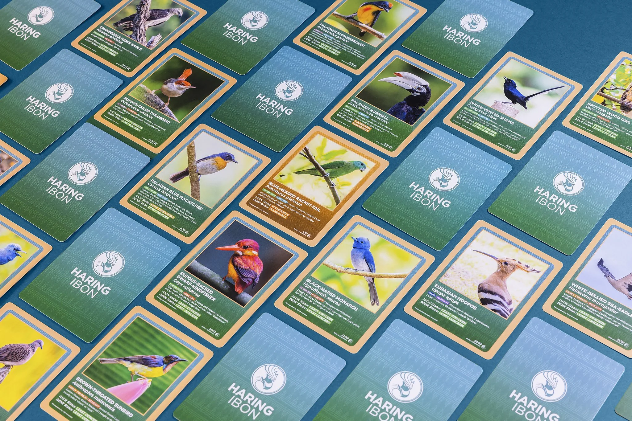 Birds of the Calamianes Cards 2048px 2.jpg