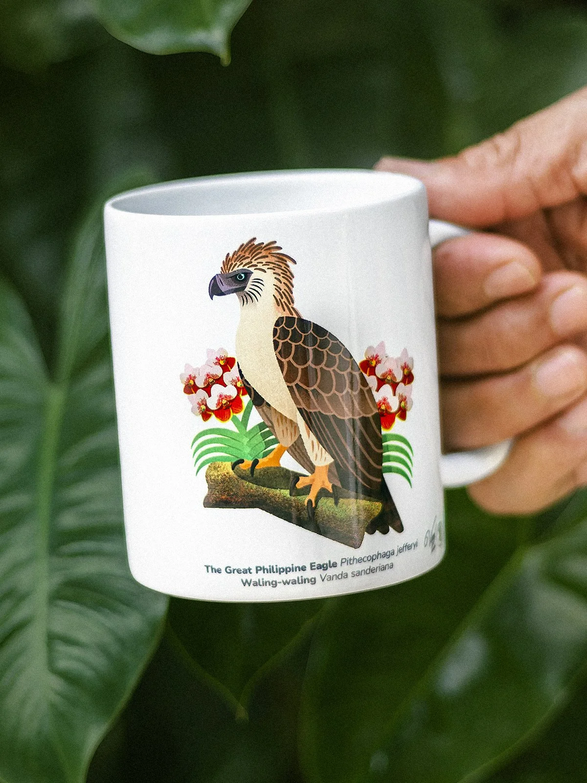 WBCP Mug Philippine Eagle 1200px.jpg