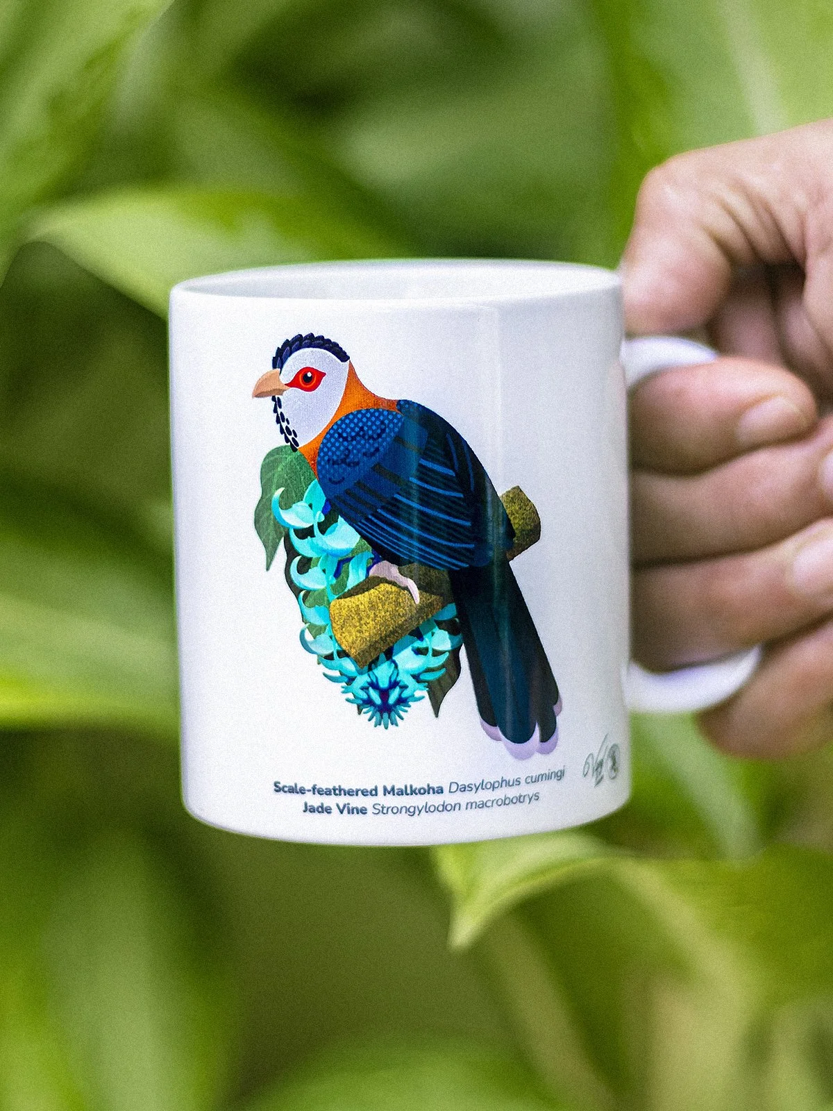 WBCP Mug Scale-feathered Malkoha 1200px.jpg