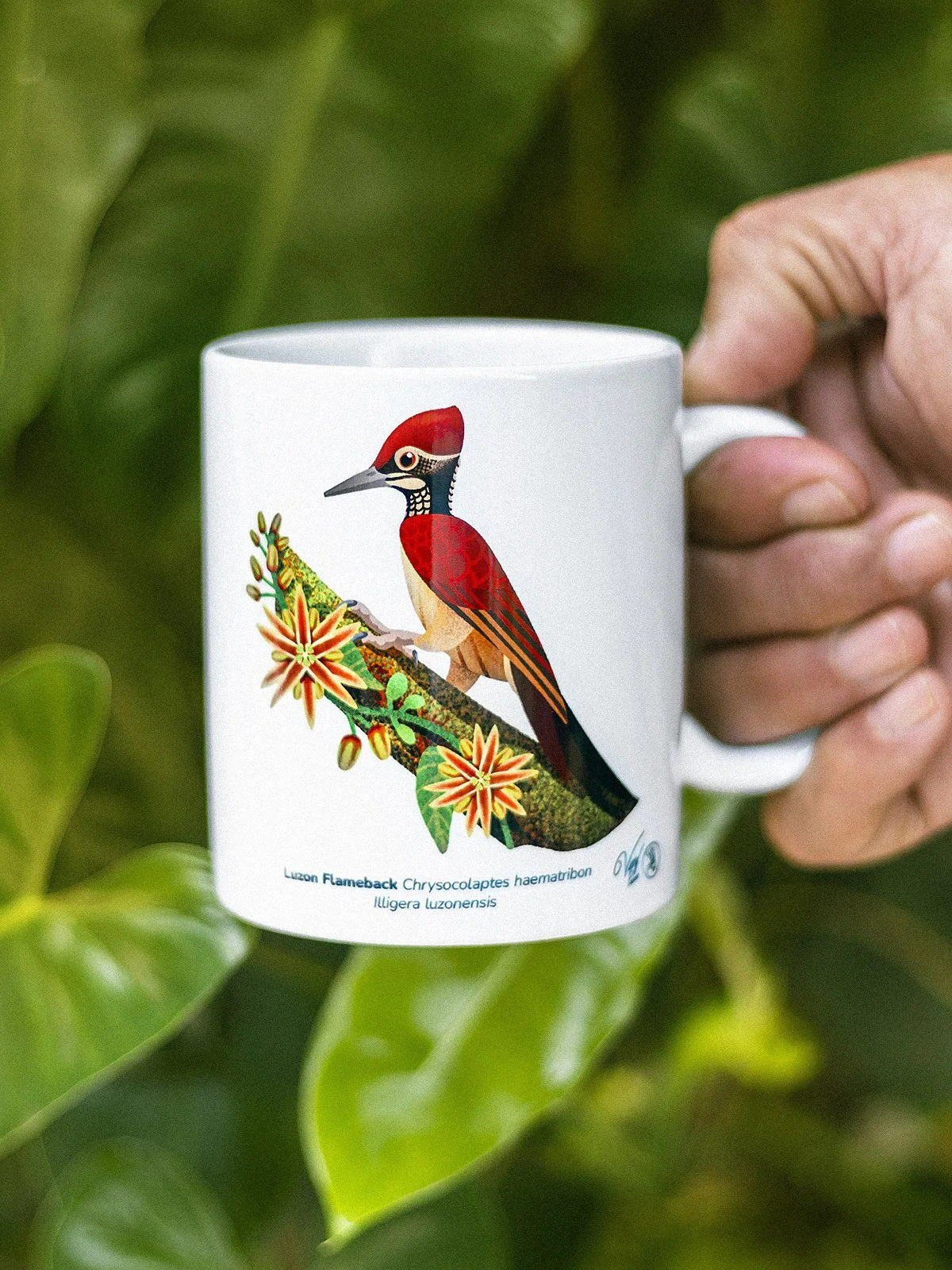WBCP Mug Luzon Flameback 1200px.jpg