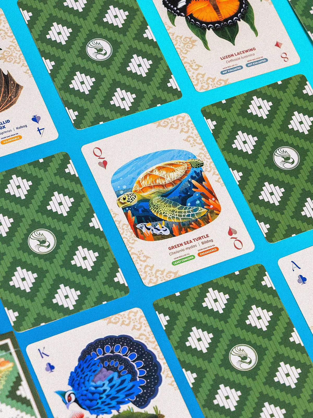 VP 2026 Haring Ibon Philippine Wildlife Cards 4 BLUE 1200px.jpg