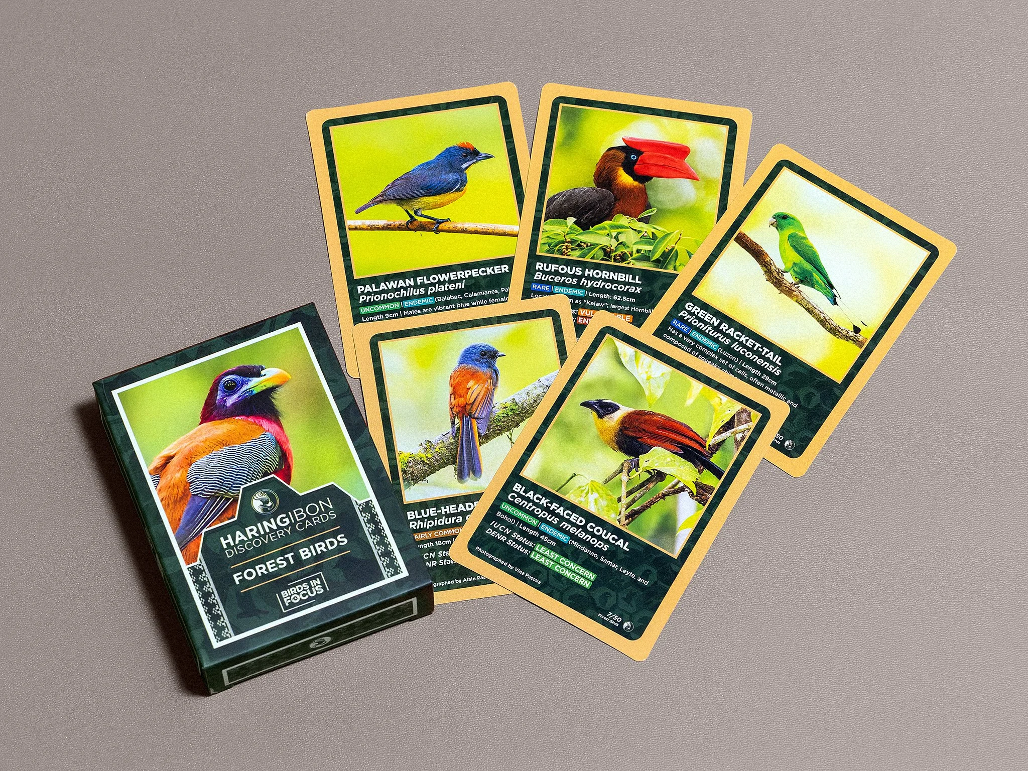 HaringIbonDiscoveryCards_2_CloseUpForest.jpg