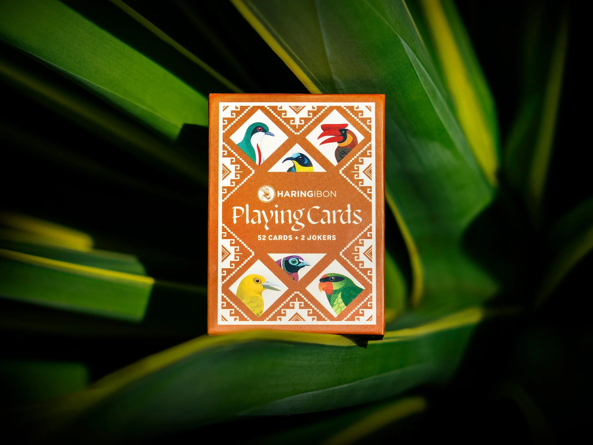 HaringIbonPlayingCards_4_BoxFront.jpg