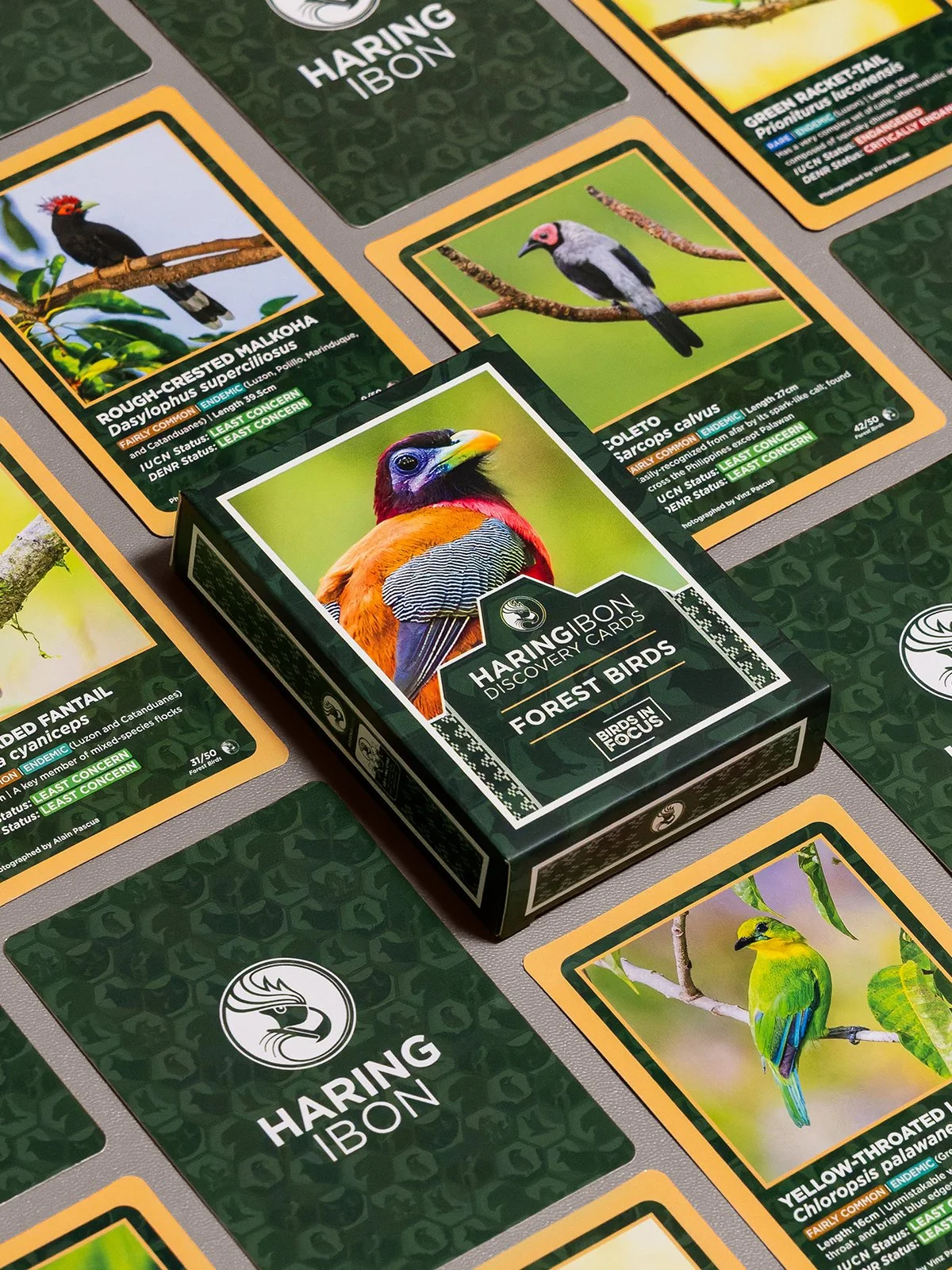 Discovery Cards 5.jpg
