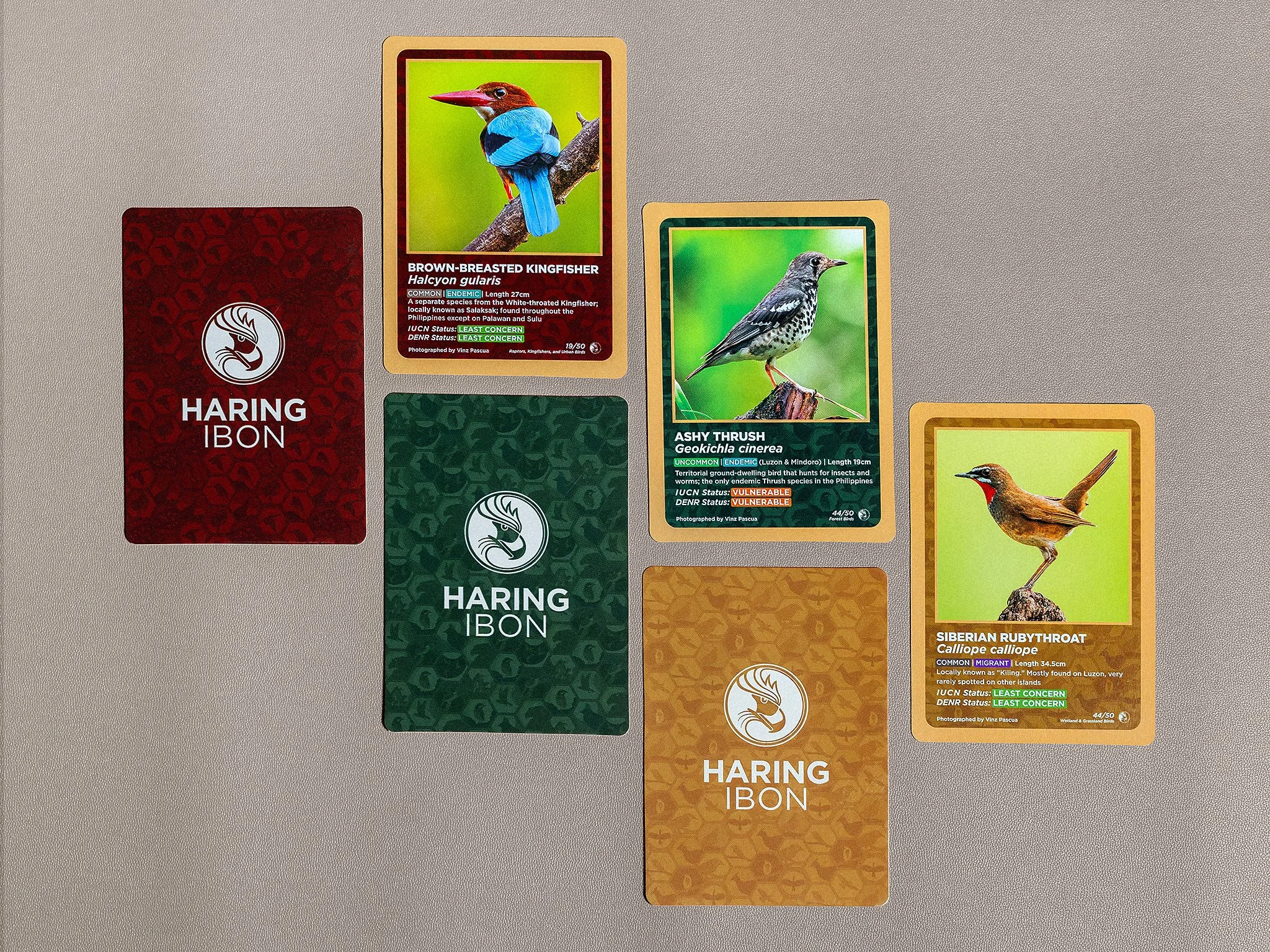 HaringIbonDiscoveryCards_5_CardFrontBack.jpg