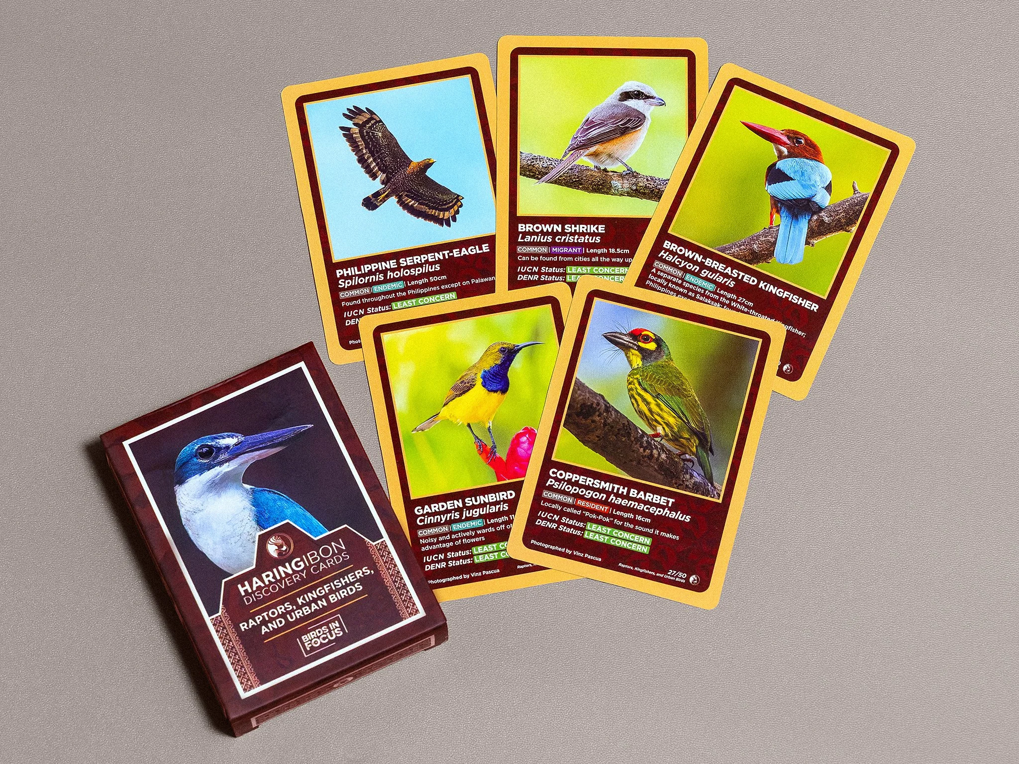HaringIbonDiscoveryCards_4_CloseUpUrban.jpg