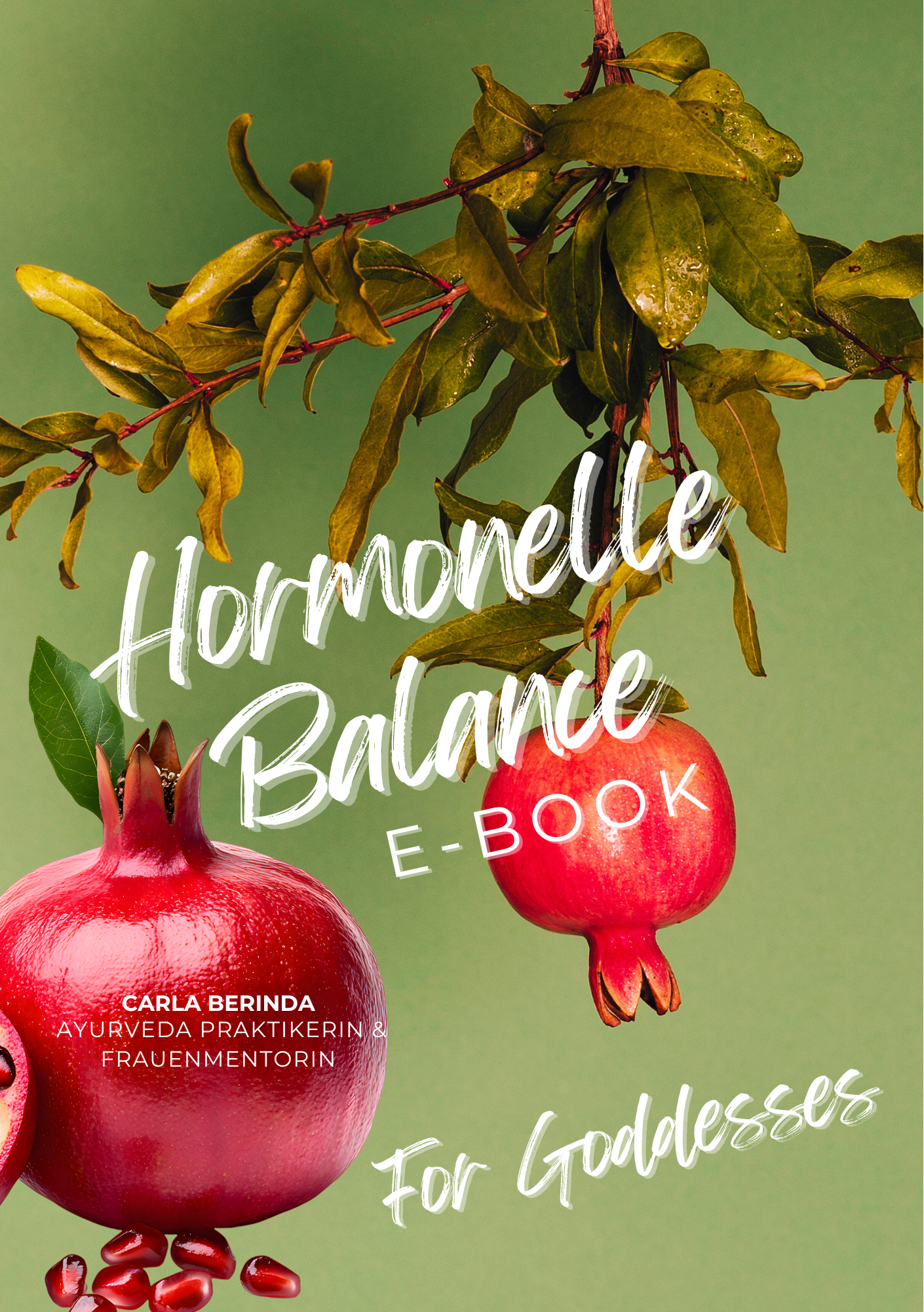 Titelbild E book.png