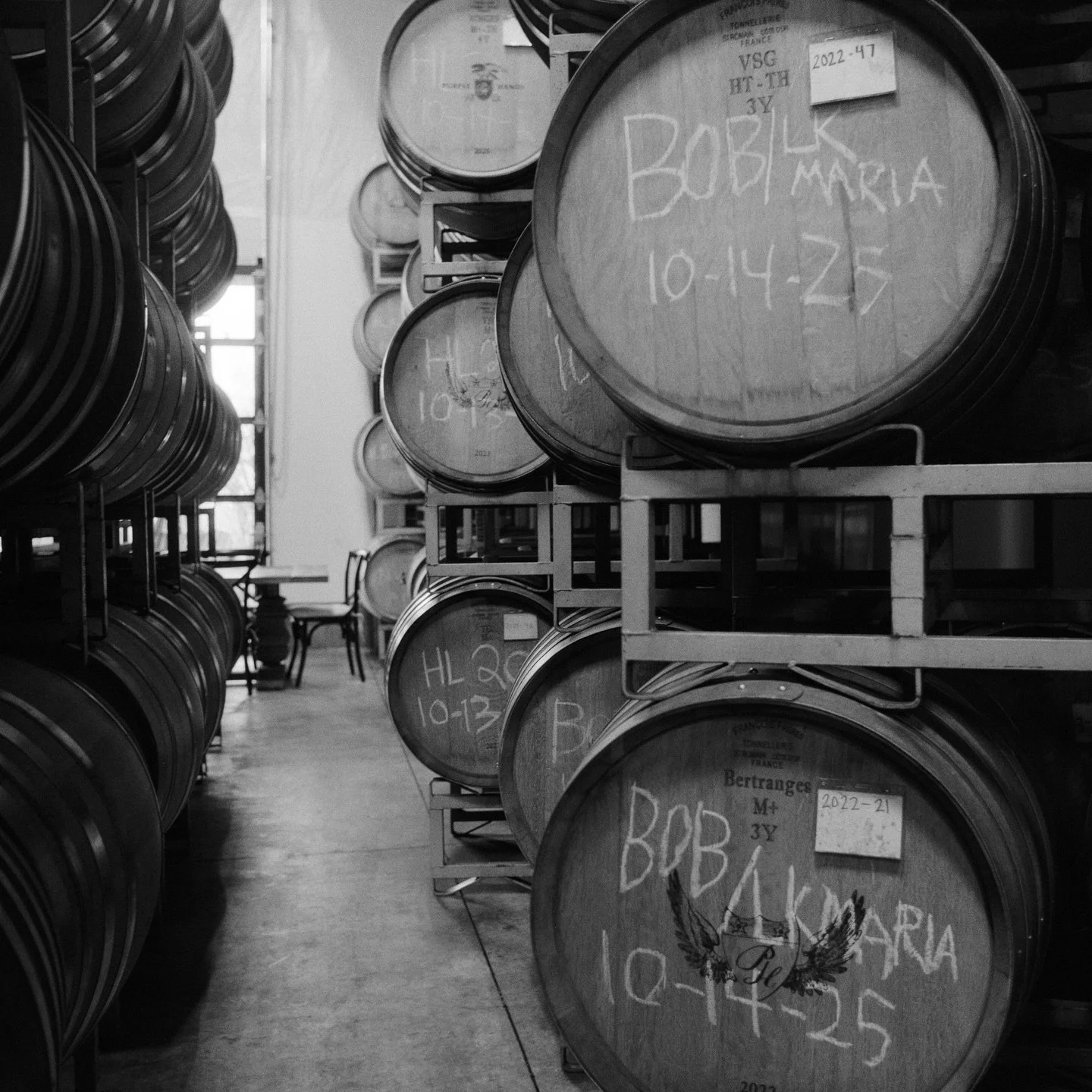 Our wines are raised in hand-crafted vessels made from European oak forests. Partners we&rsquo;ve worked with for ages. We stay close through every stage, studying, tasting, and listening. Each lot, each vintage, has something to tell us, and our job