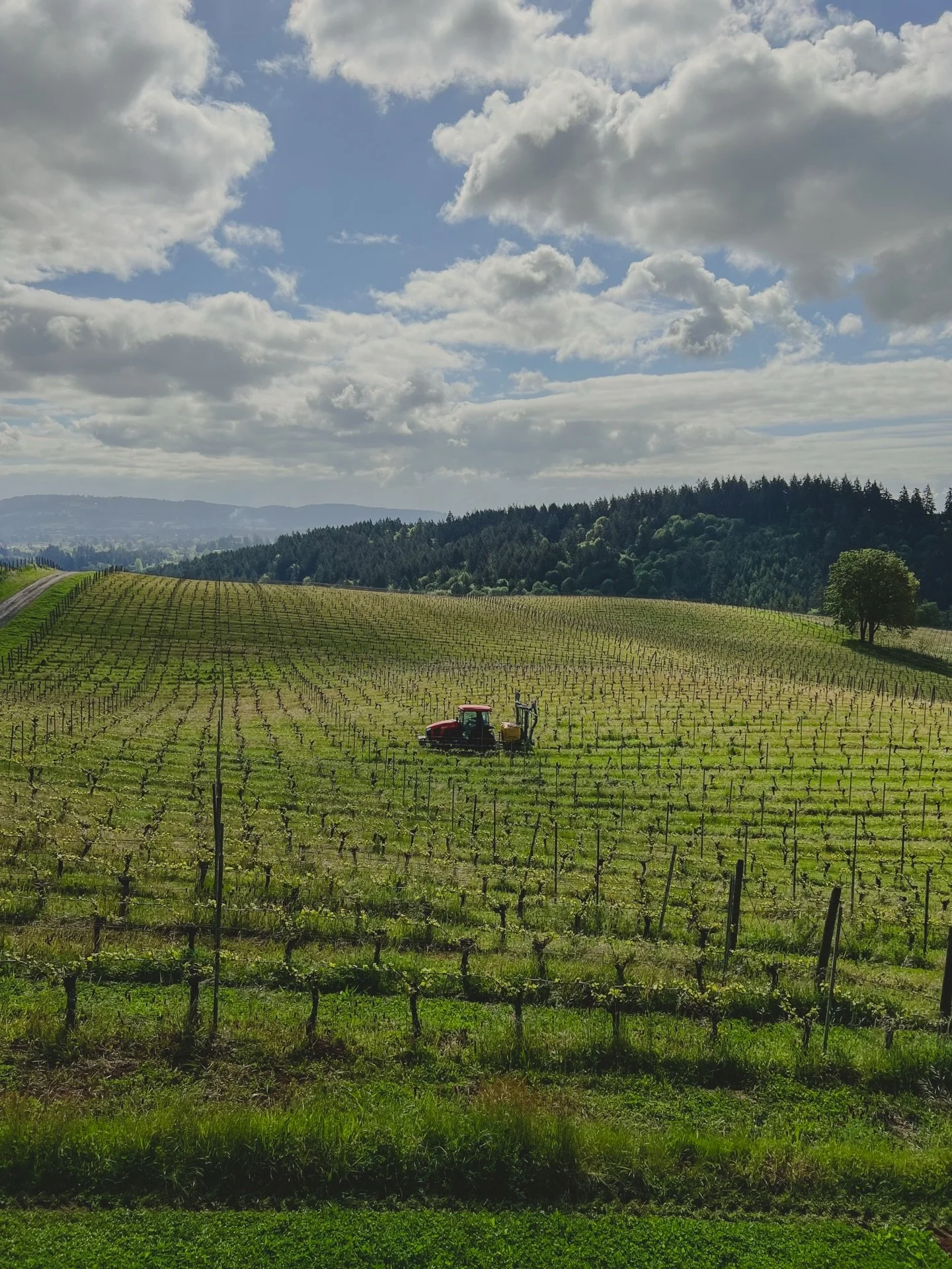 The ground has a story to tell if you listen. It carries tales of the past and quiet hints of what&rsquo;s ahead. Spring will come in its own time.