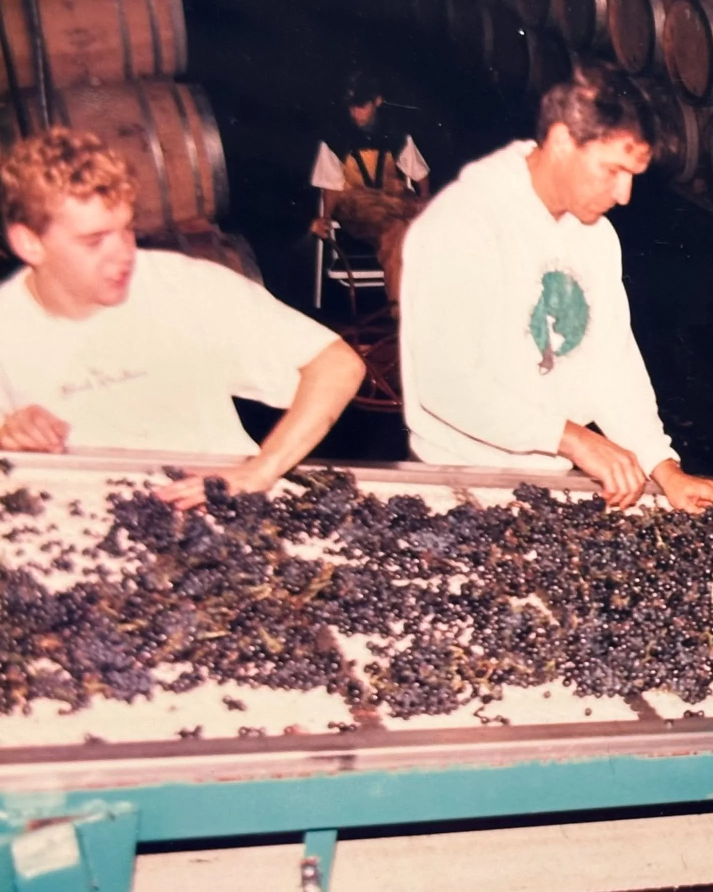 A little throwback from harvest days past.

Can you spot Cody on the sorting line at his dad&rsquo;s winery? He was about 14 years old here, working the rhythm of harvest one cluster at a time.

Long before Purple Hands, before he met Marque and bega