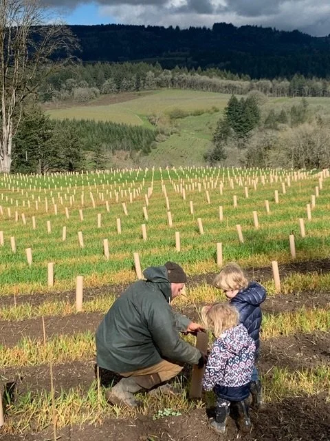 Out here, things don&rsquo;t rush.

West Wind sits along the spine of Ribbon Ridge, looking out over the eastern shoulder. The wind moves through constantly, not harsh, just steady. It keeps the vines in conversation with their surroundings. Nothing 