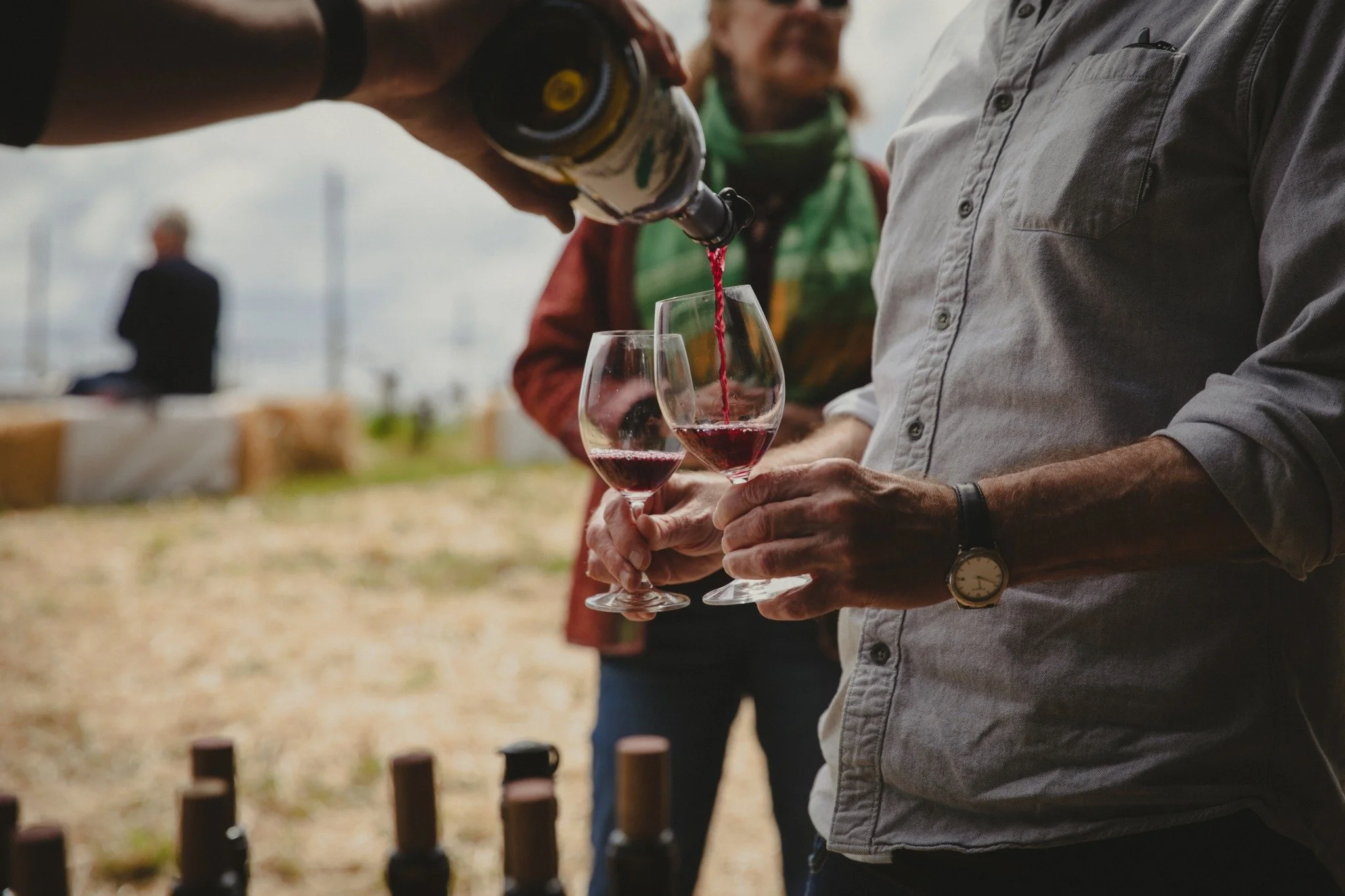 After twenty years of making wine, the work doesn't get easier.

The questions simply become more specific.

What changed in this block?
Why did something behave differently?
What is this vintage trying to teach us?

The good news is that experience 