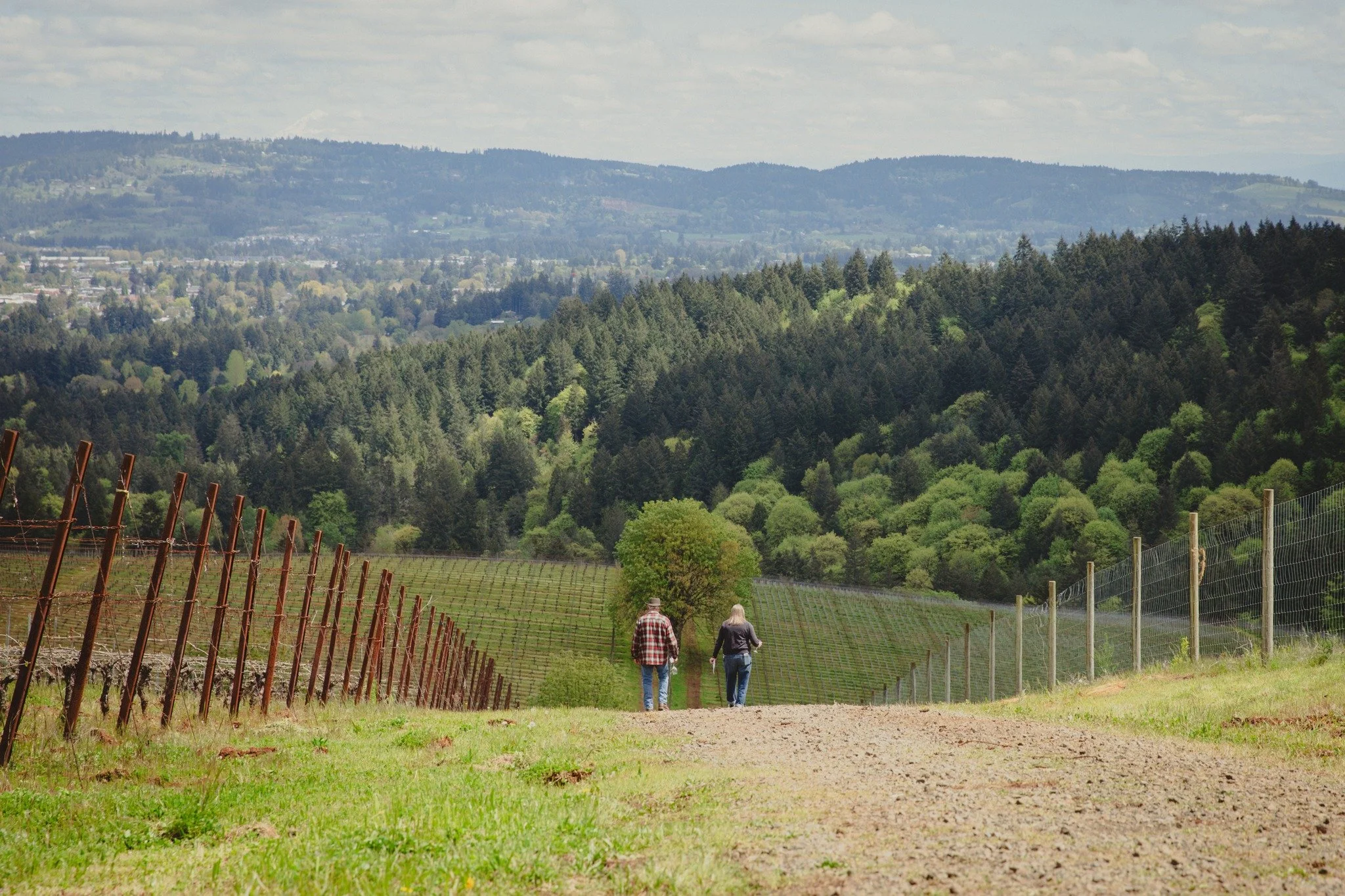 One of the things we love most about wine country is that it encourages you to slow down.

You take the longer route through the vineyard. You stay for one more glass. The conversation keeps going.

Before you know it, a couple of hours have passed a