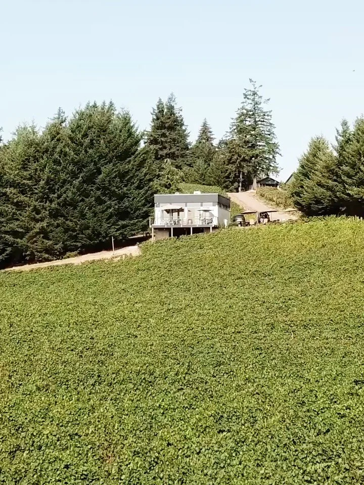 It&rsquo;s easy to think of a vineyard as one place.

In reality, every block has its own personality.

The top of the hill behaves differently than the bottom. One row ripens before another. Even vines planted side by side have their own pace.

That