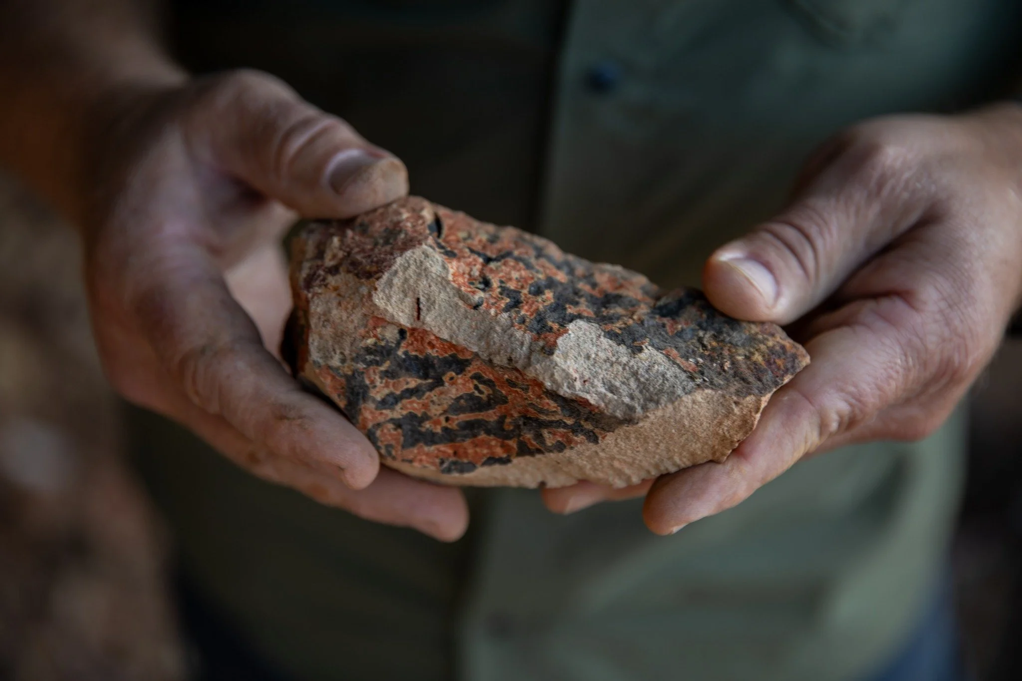 The roots of our vines reach deep into the soil... some as much as 30 feet. And when you think about the ancient (estimated 20 million years old) soils they&rsquo;re navigating, it&rsquo;s easy to imagine the stories held within them, drawn upward th