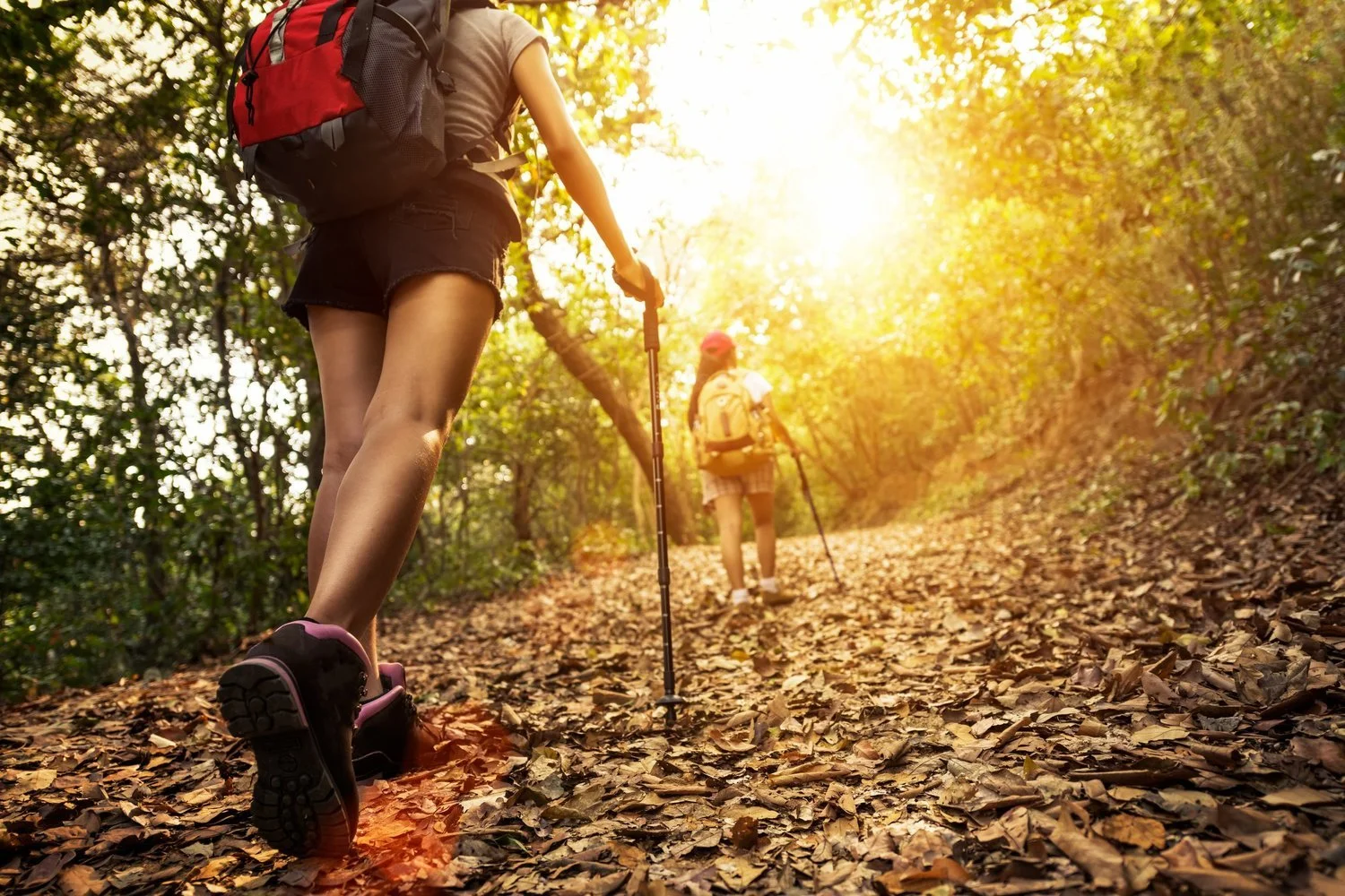 Hike @ Bastrop SP (Using Trekking Poles Effectively)