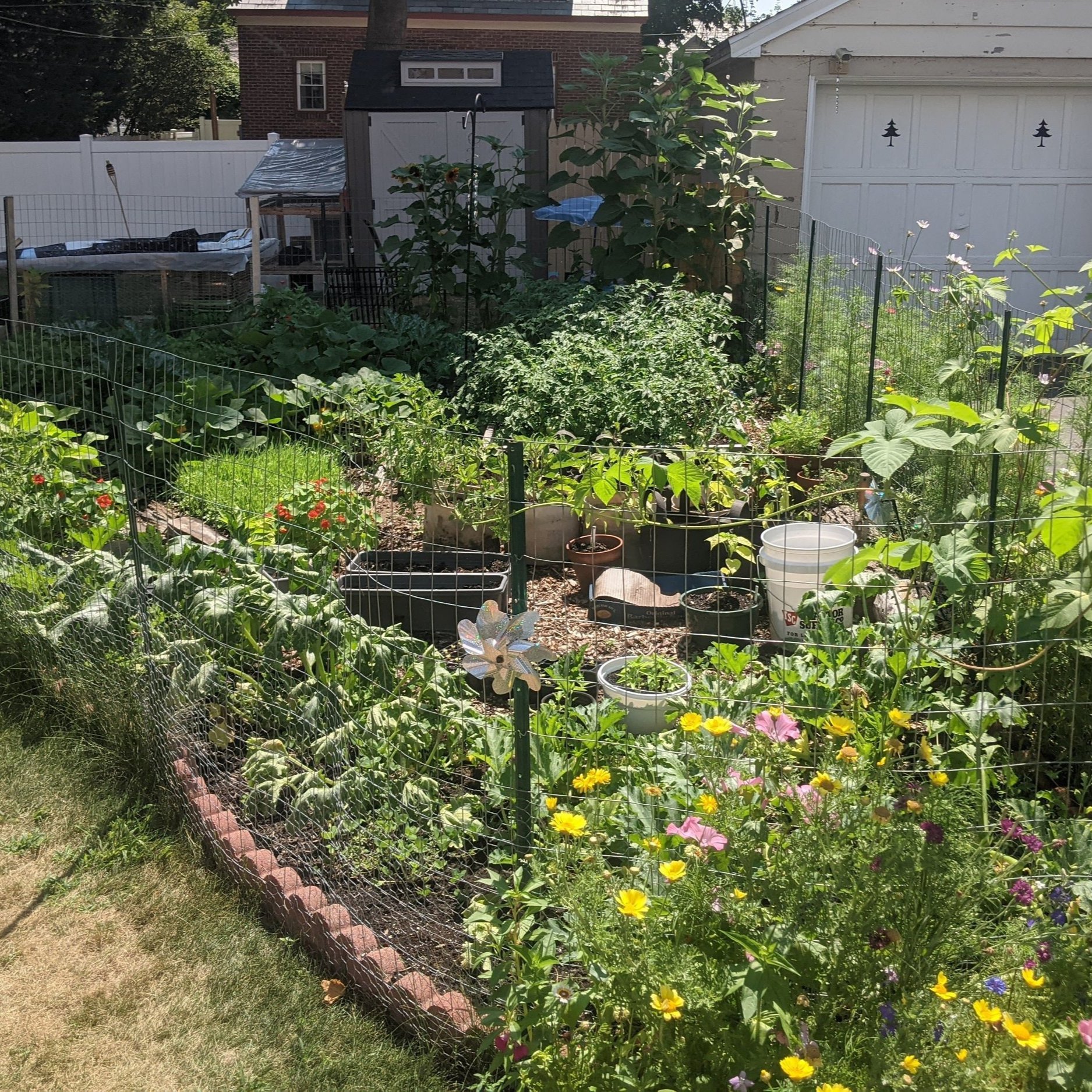 garden.jpg