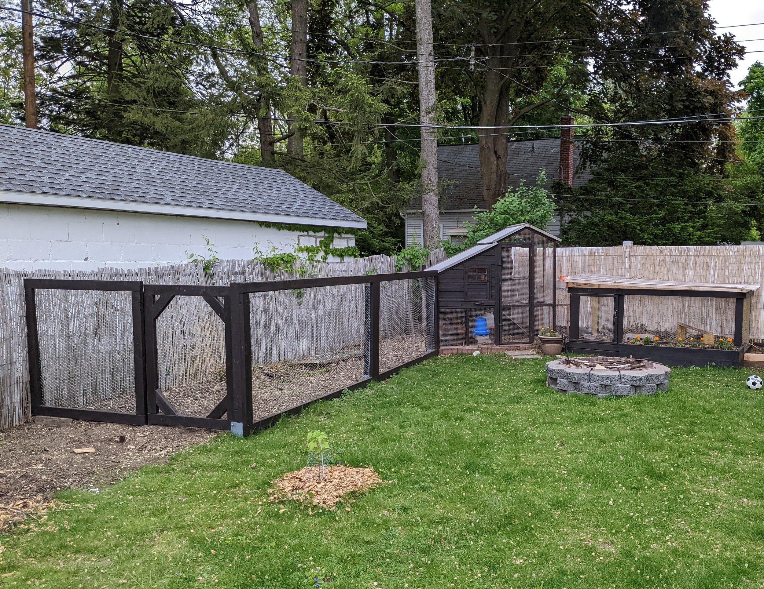 chickencoop.jpg