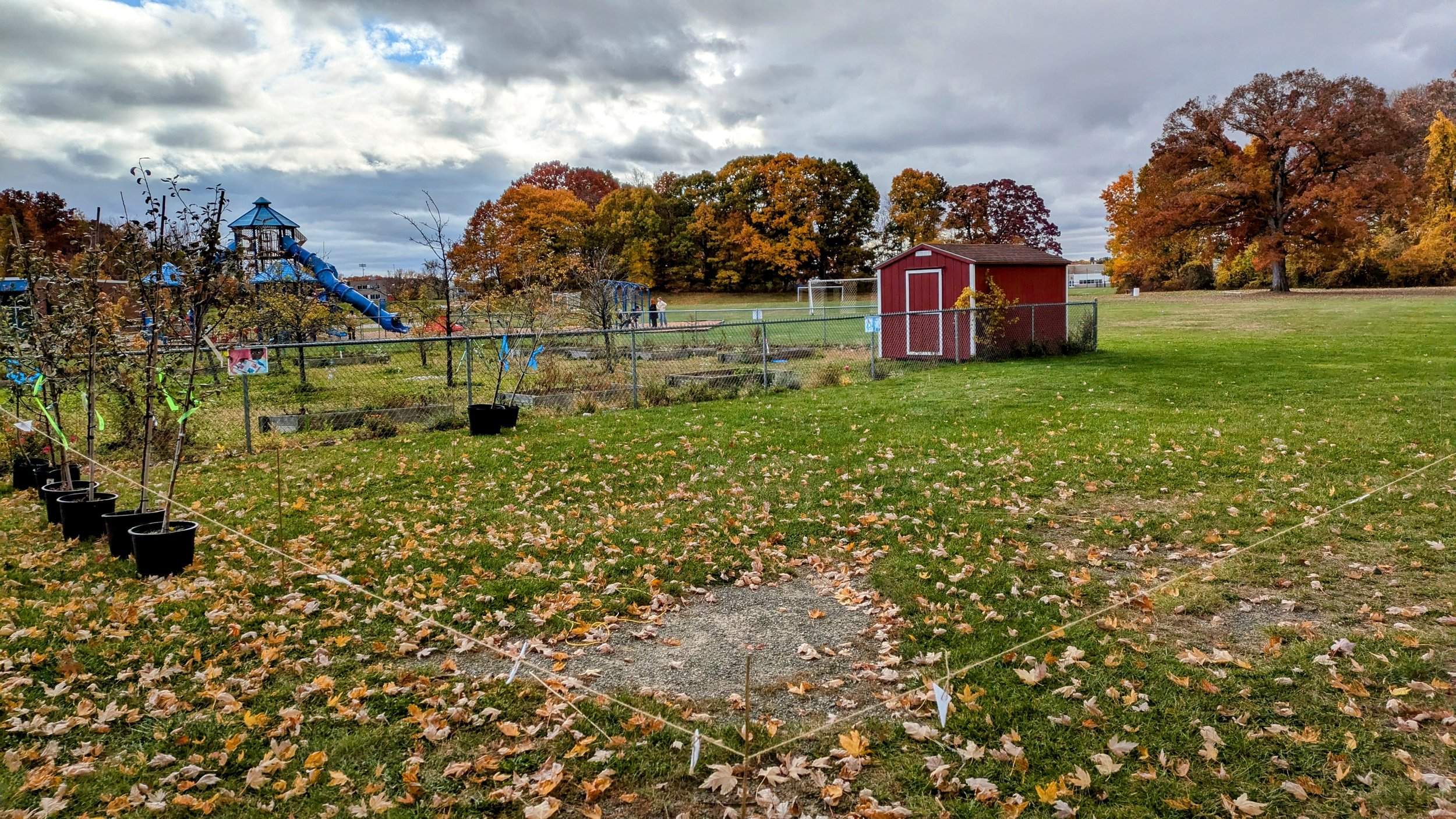 PXL_20241024_154116382~2(1).jpg